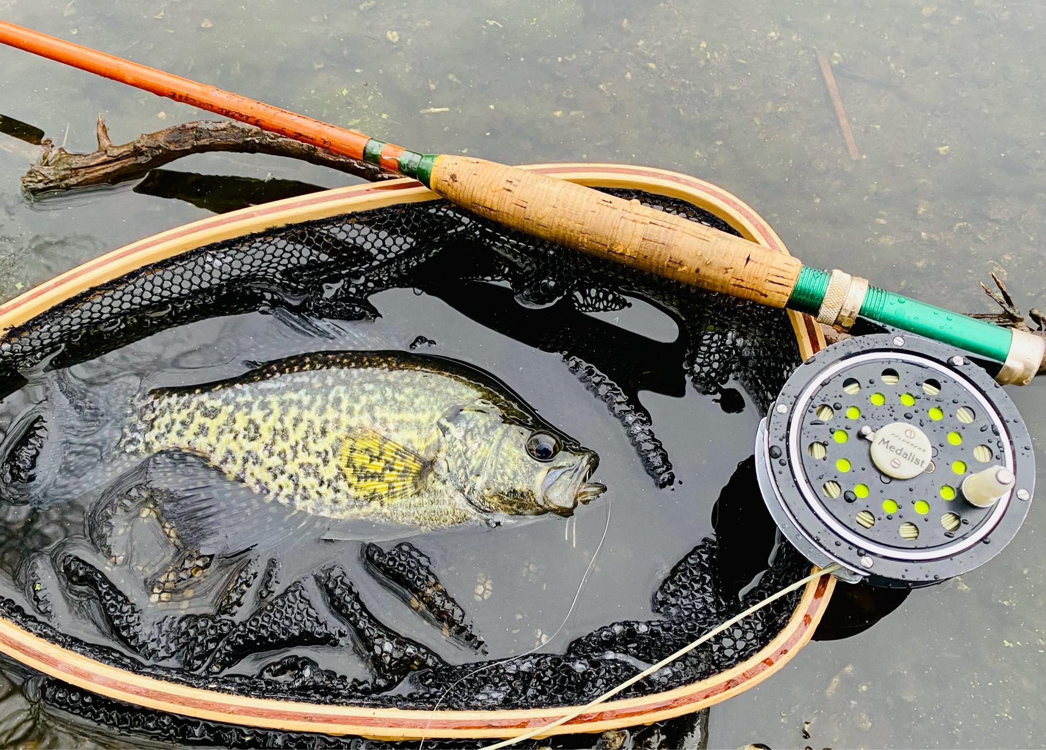 crrappie fishing fly rod Matt Johnson Outdoors making it perfect for pitching or dropping lures on fish Crappie, Panfish & Trout Spinning