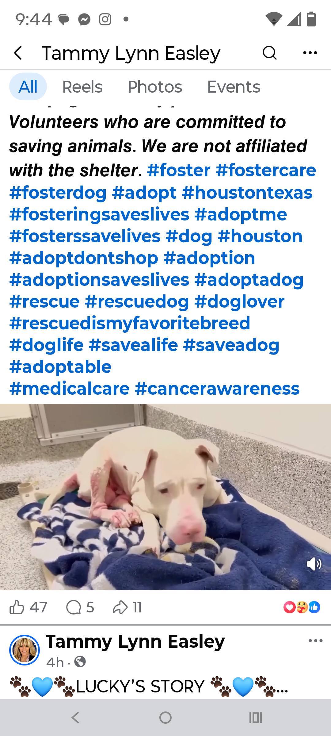 FRIENDS - IT'S POSSIBLE THAT BROCK IS DEAF. NYCACC IS GOING TO