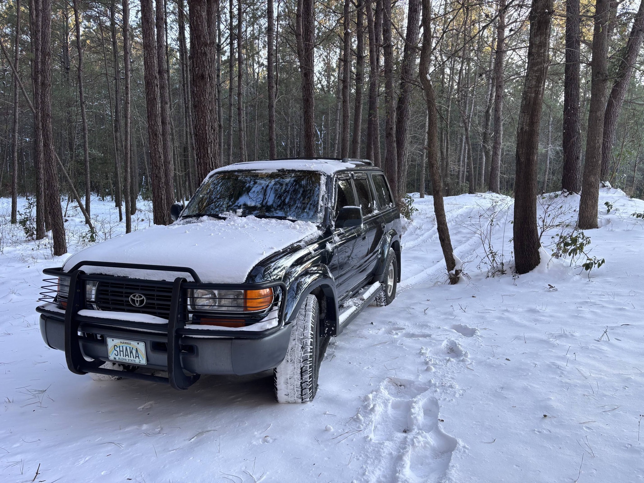 Who owns 1996 80 series Landcruiser Winter Limited Edition in