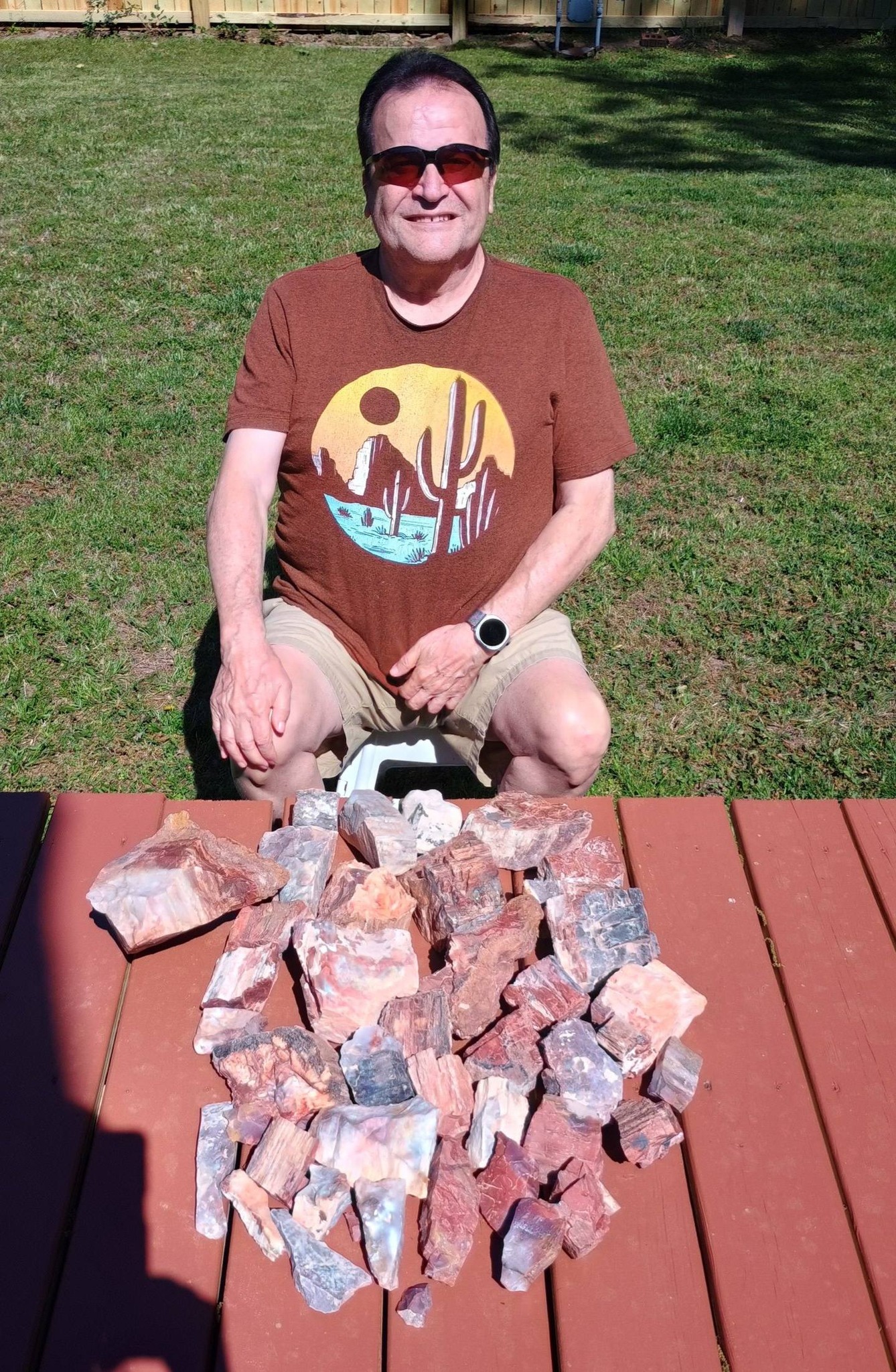Petrified wood haul from Rhonda's dig site in Holbrook, AZ