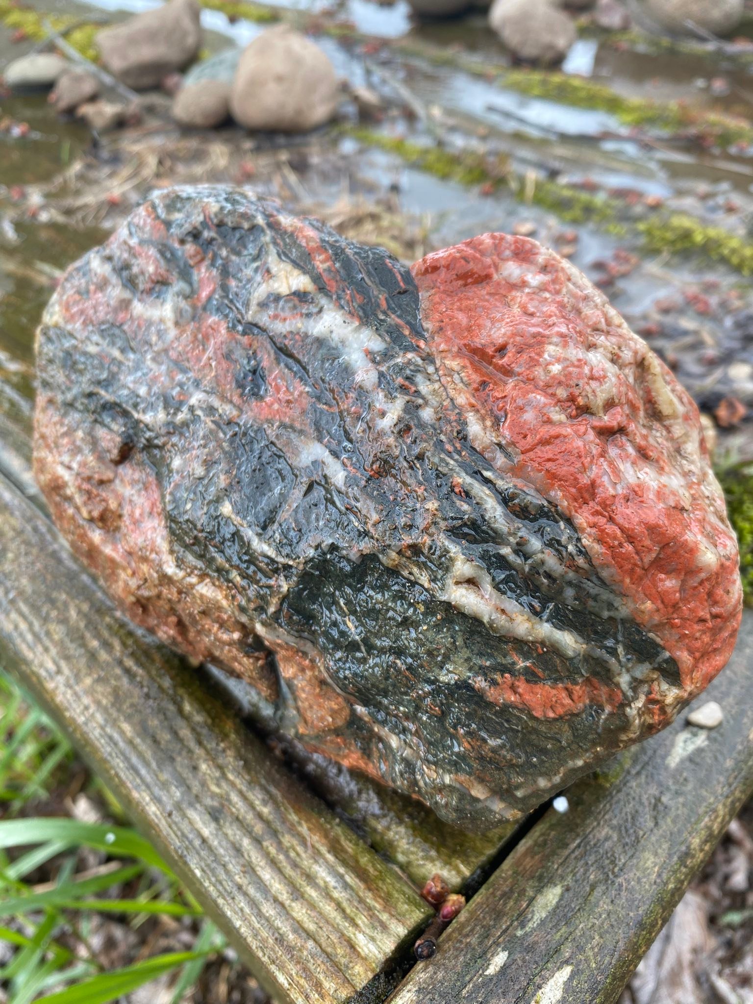 Found a really cool specimen today in a corn field. AI says it is