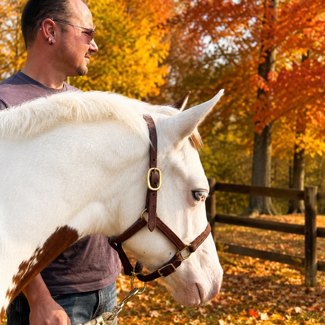 Zane Charters - ISO weanling or yearling halter breed... | Facebook