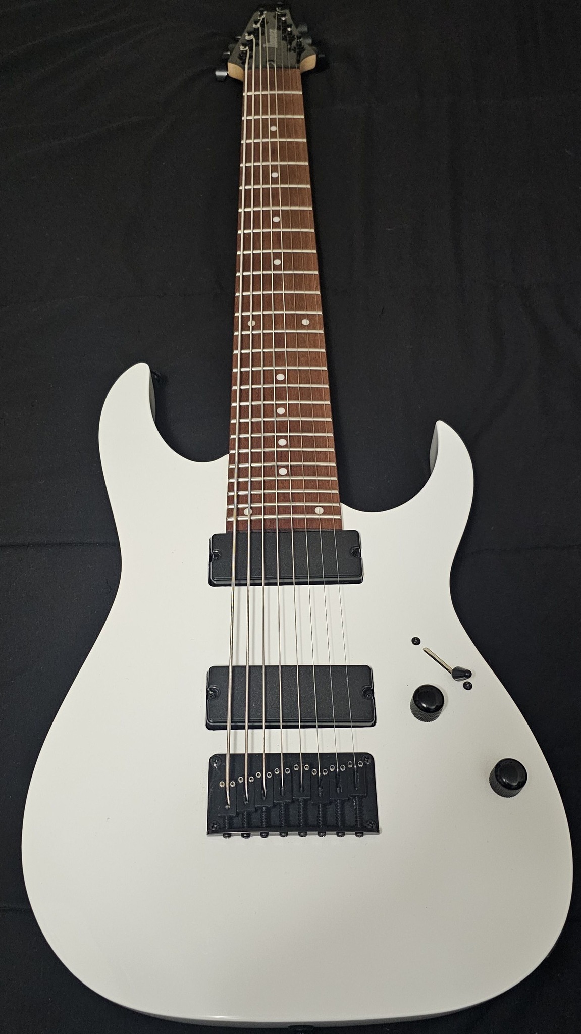 Sold my Ibanez RG2228 8-string guitar