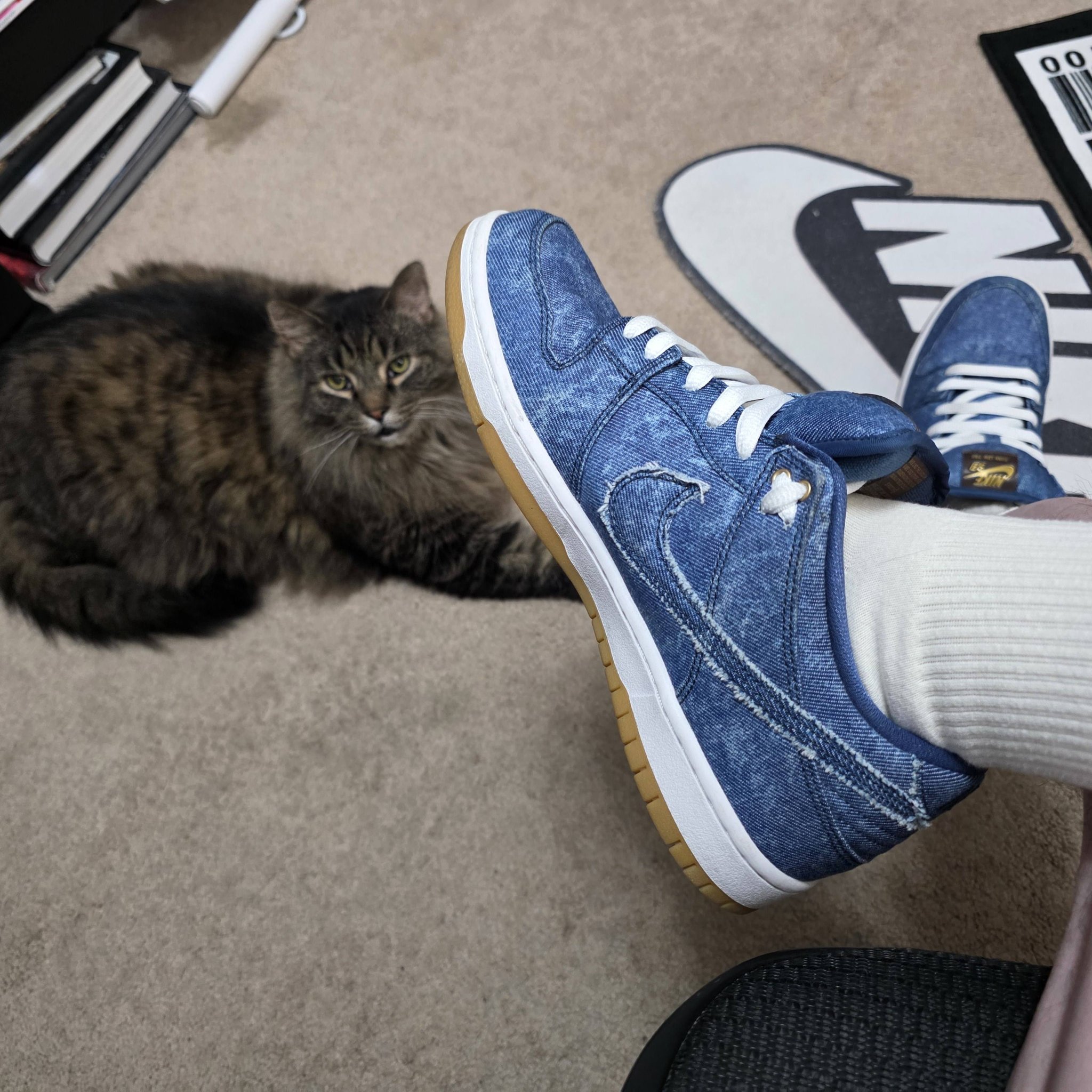 Nike SB Dunk Low Rivals Pack 'East' review