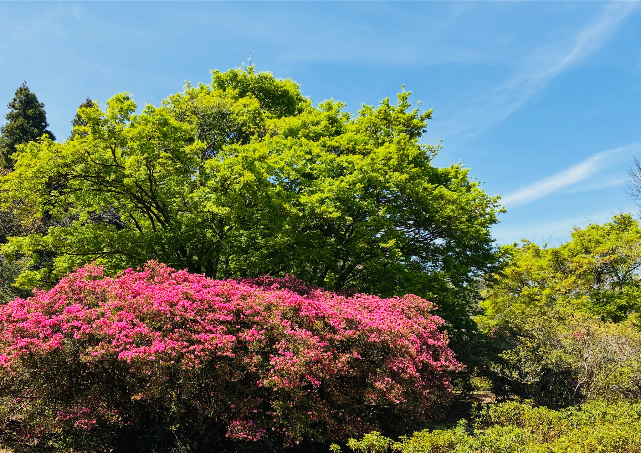 Komuroyama Park - Breathtaking Panoramas and a Spectacular Garden 