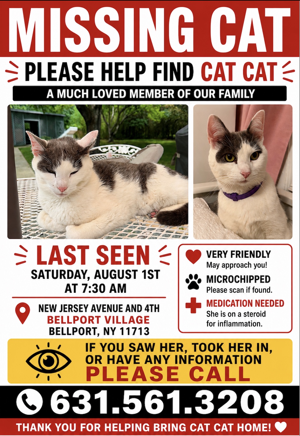 MISSING CAT PLEASE HELP FIND CAT CAT A MUCH LOVED MEMBER OF OUR