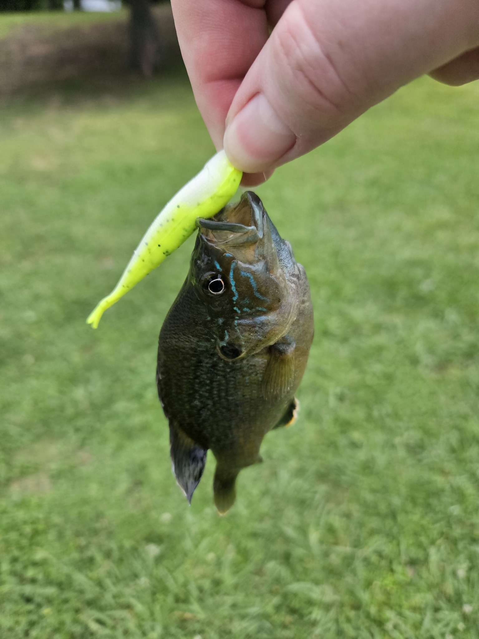 best 8wt fly reel 7/8wt - The Patriot w/ Line ENOX The 5/6 can accommodate Reel Customization - Custom Color:Coot