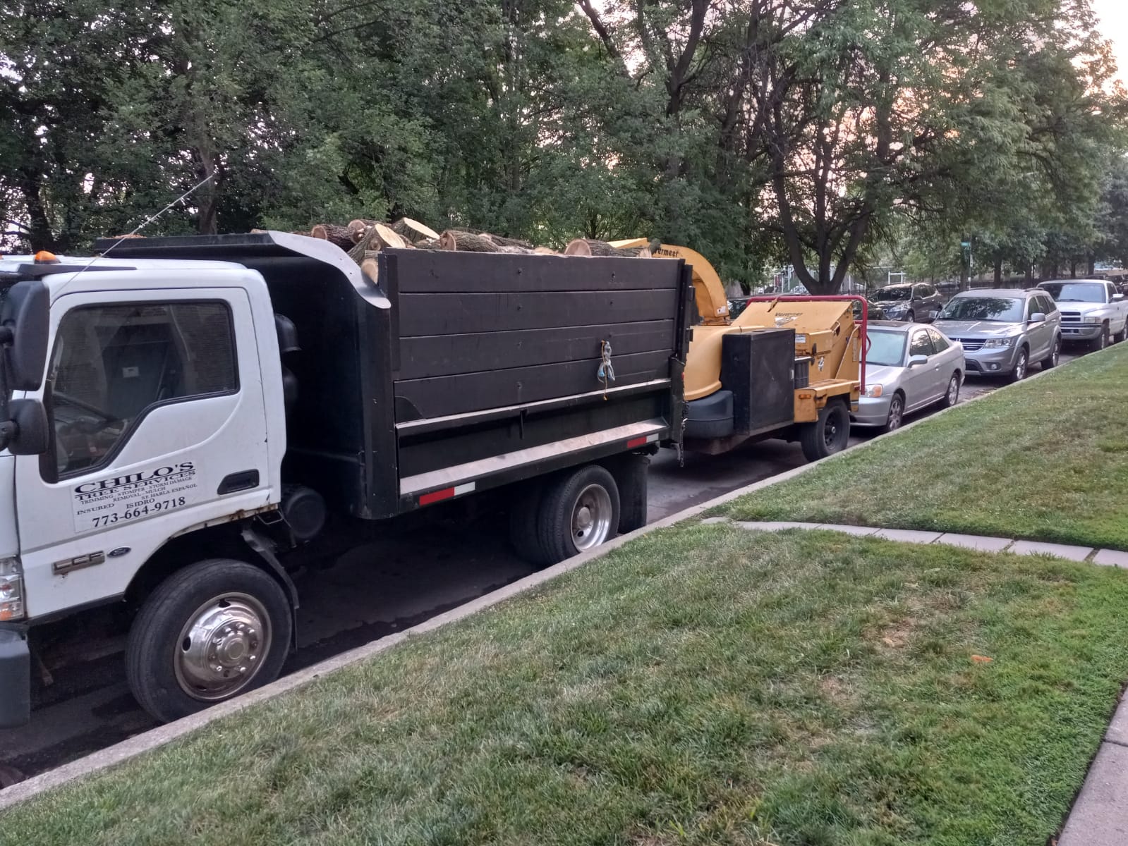 Chilo's Tree Service LLC