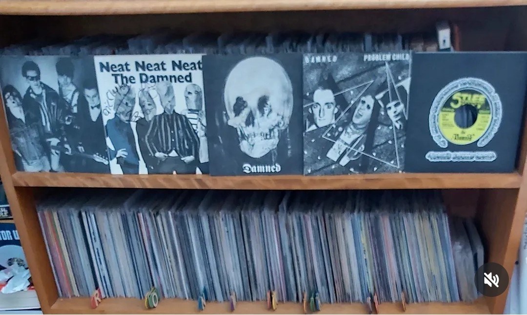 The Damned albums on Stiff Records