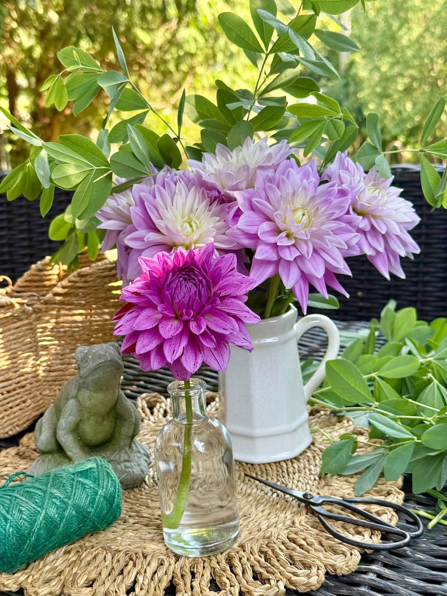 Fragile dahlia genetics: 'Fern Ridge Painted Lady' mutation