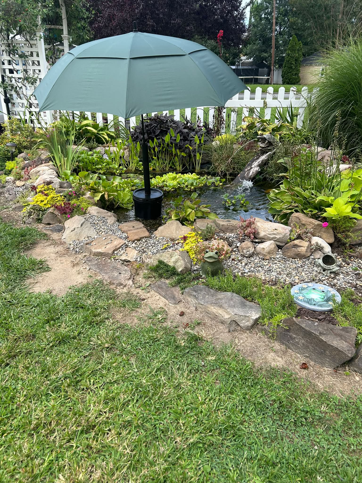green algae on patio umbrella and White Petal Scallop Outdoor DIY Shade Solution for Small