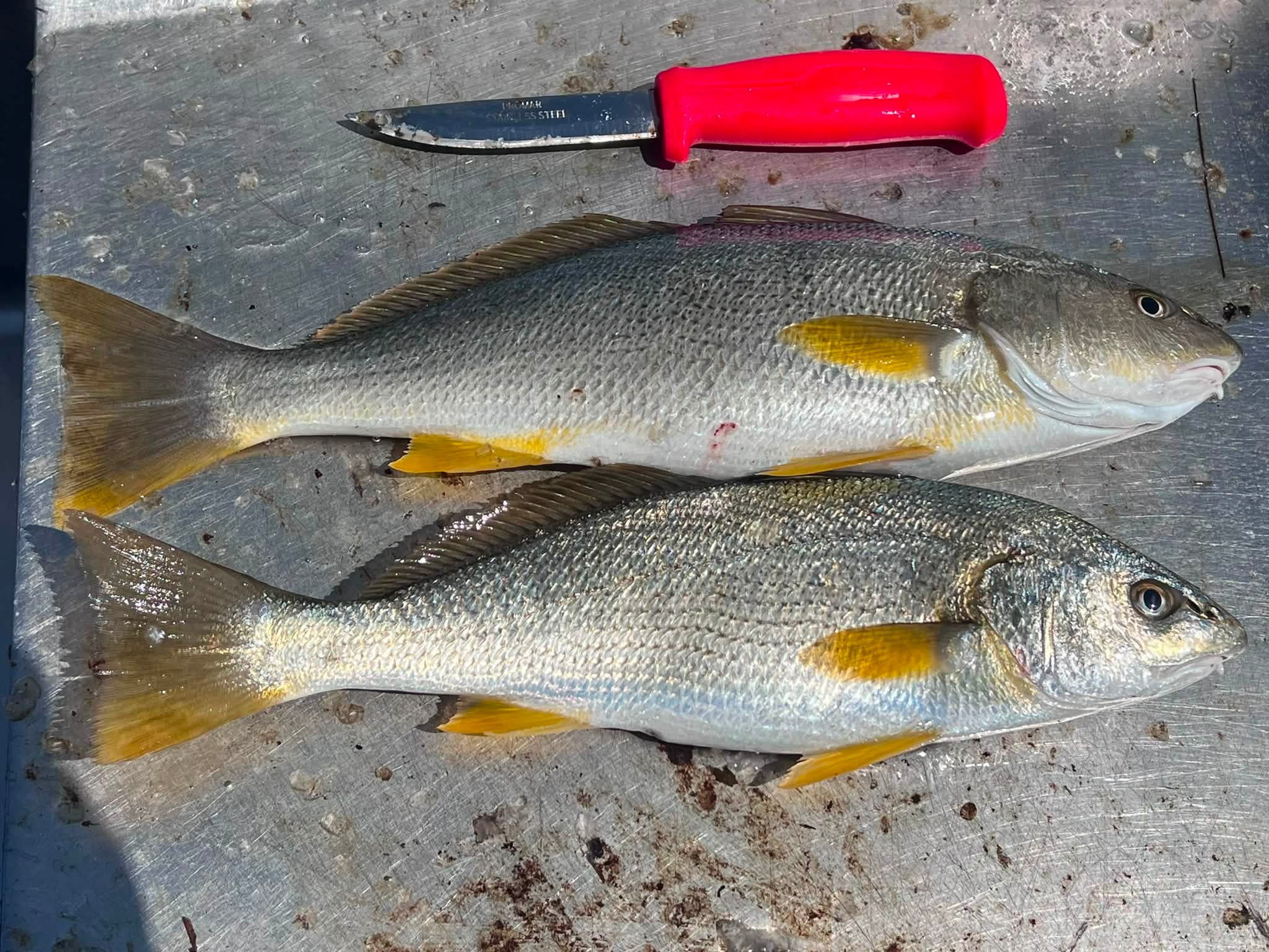 best utah ice fishing lures HD 2