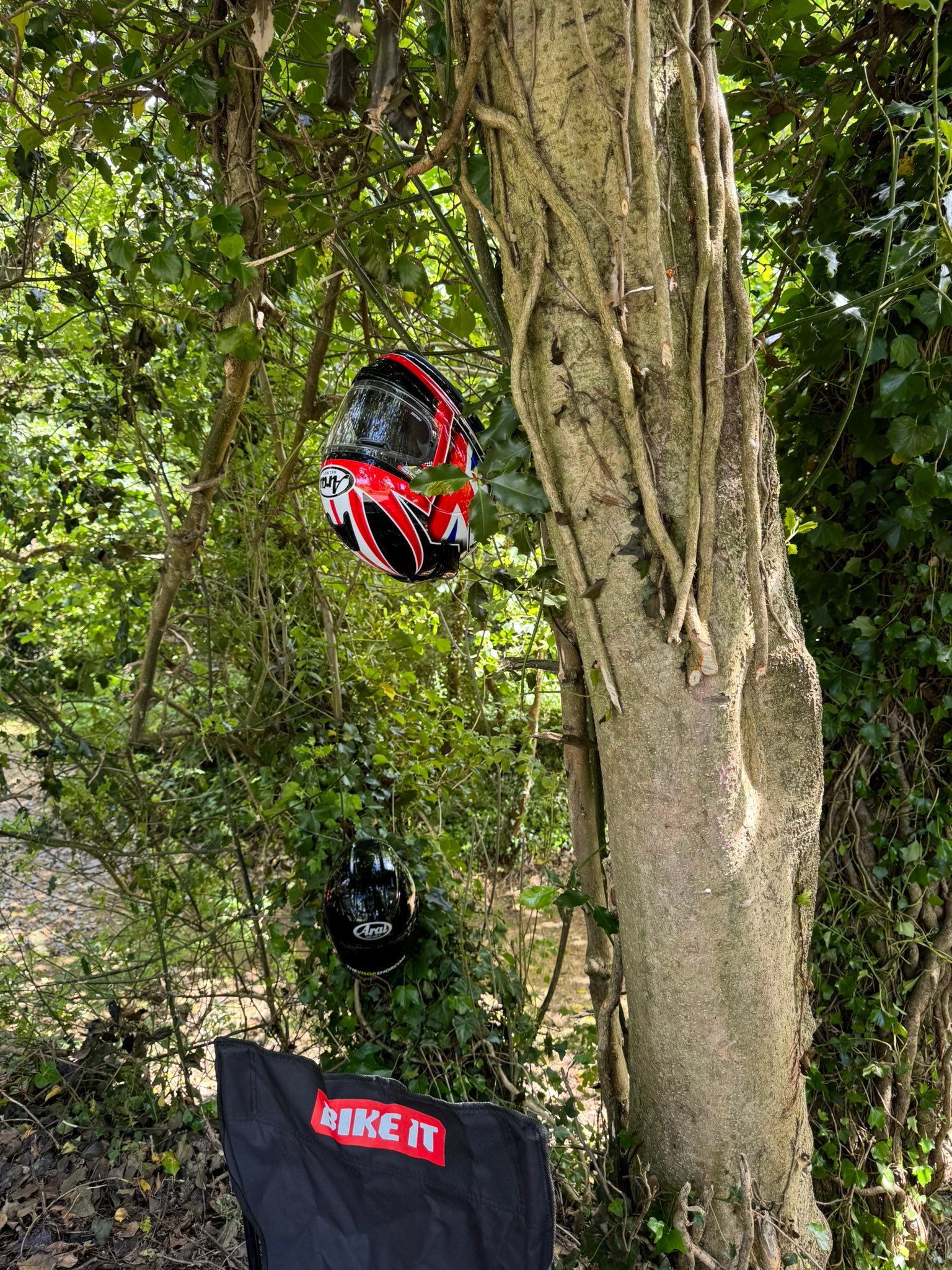 bike helmet tree Palm Trees This Helmet Tree Has Adjustable And Removable Tiers For Customized Display The Helmeted Truth: A Layered