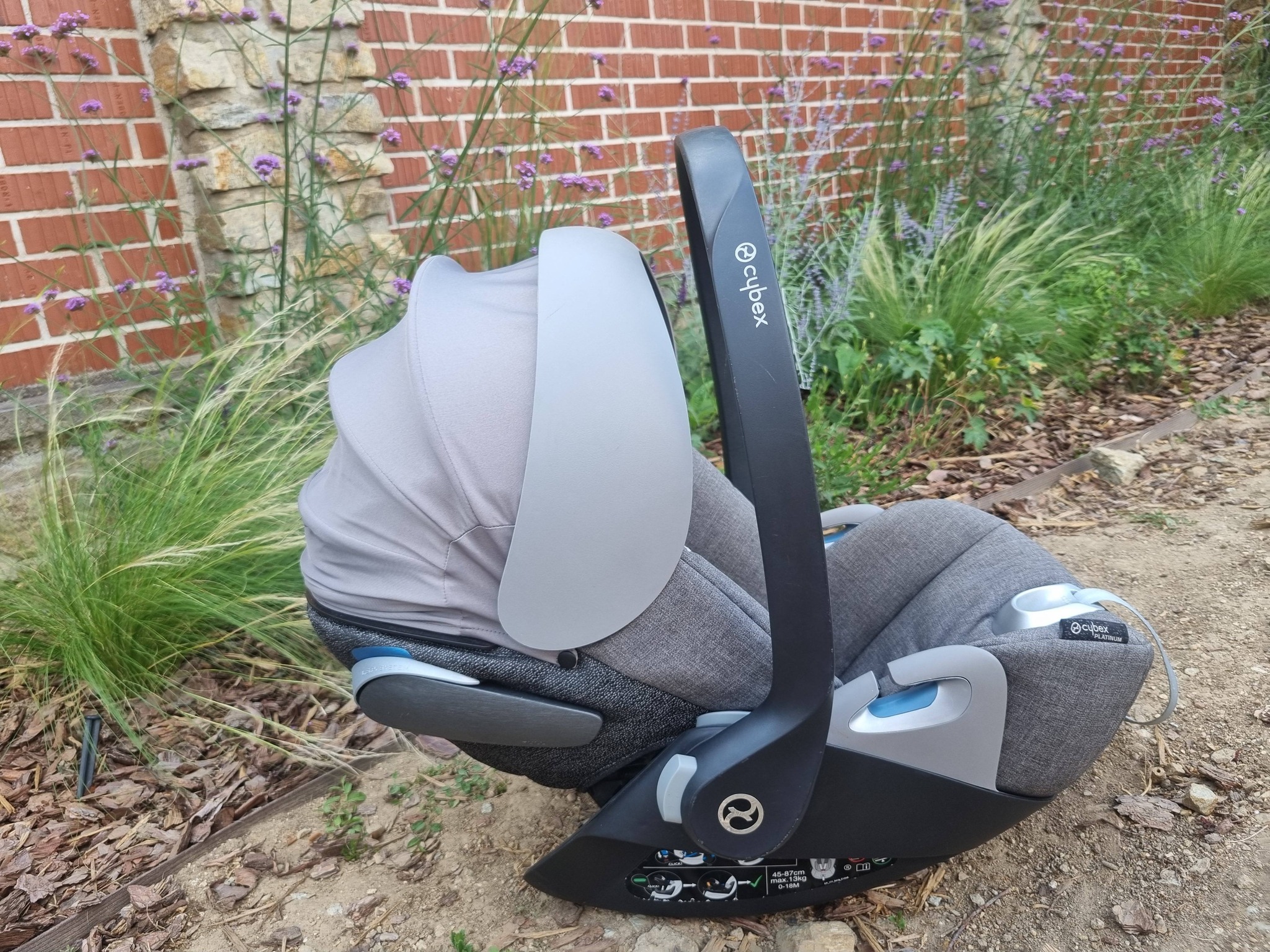 dog stroller nearby Beberoad T6 Luxury Pet | Detachable Carrier & One-Click Folding Rock the Dots Coquette much more Musky Fishing Basics - Color:Spring Rain