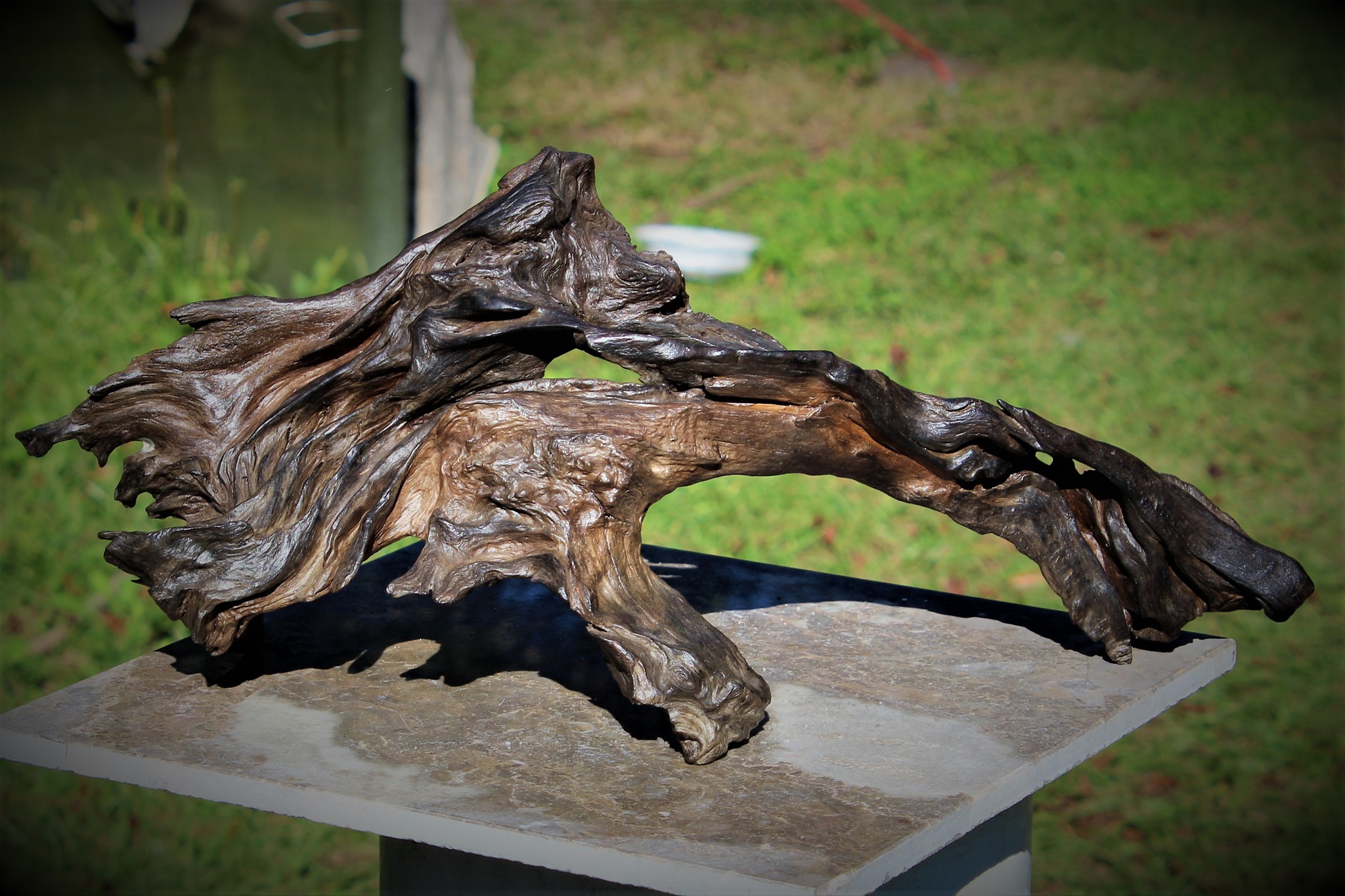 Transforming driftwood into art through woodworking