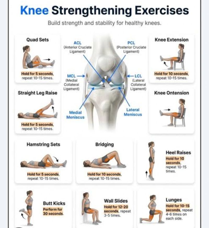 Poster D'exercices Sur Chaise Pour Seniors – 11 Programmes Assis, Pilates, Yoga, Perte De Poids – Affiche Murale Facile à Installer