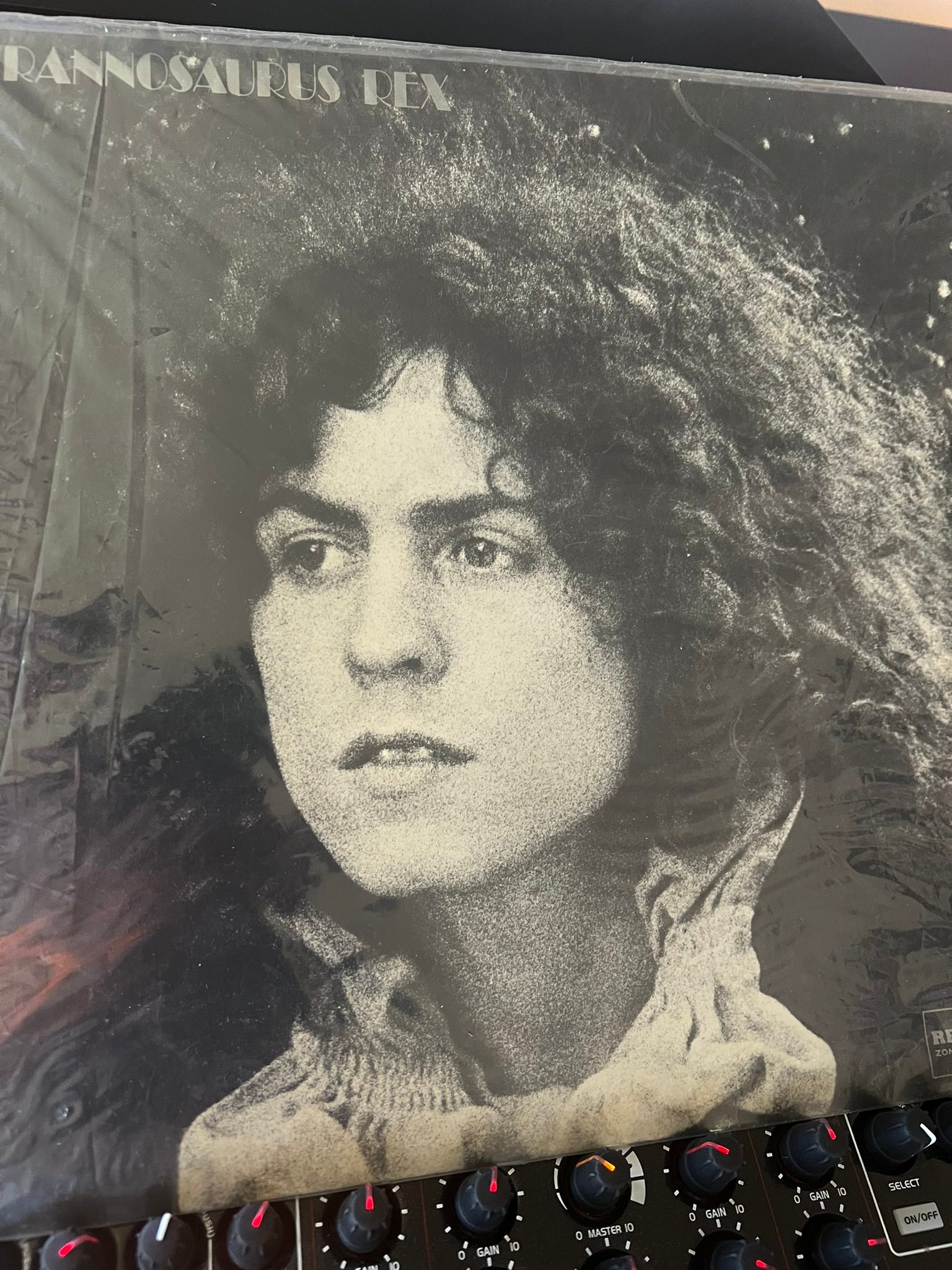 Found Tyrannosaurus Rex album A Beard of Stars