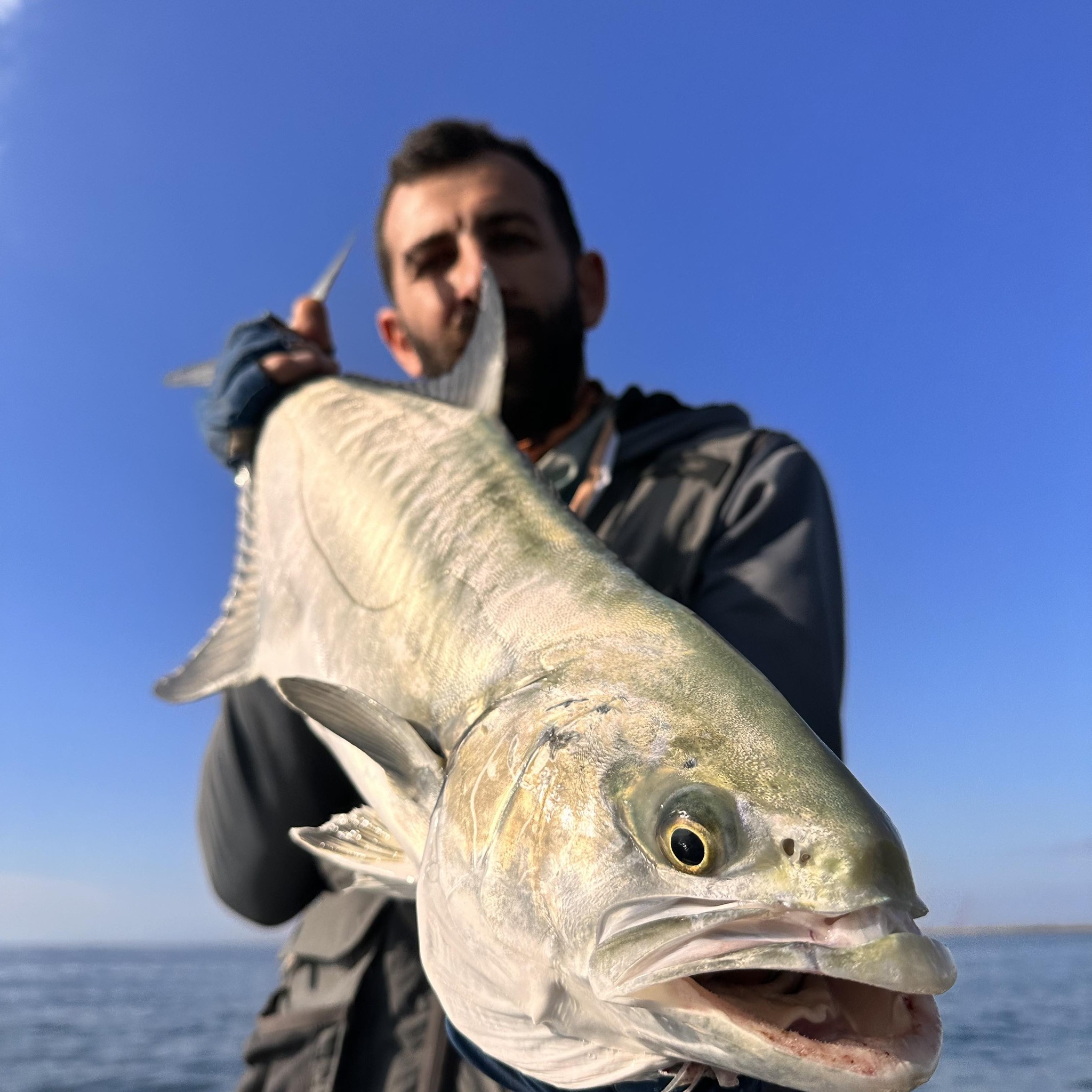 Zorunda Olmadıkça Merada Bunu Yapma! İp misinalar, deniz suyu ve güneş ...