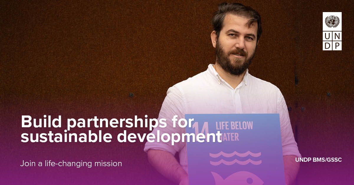 UNDP Careers - 📢 UNDP is hiring! ️ Do you have a... | Facebook
