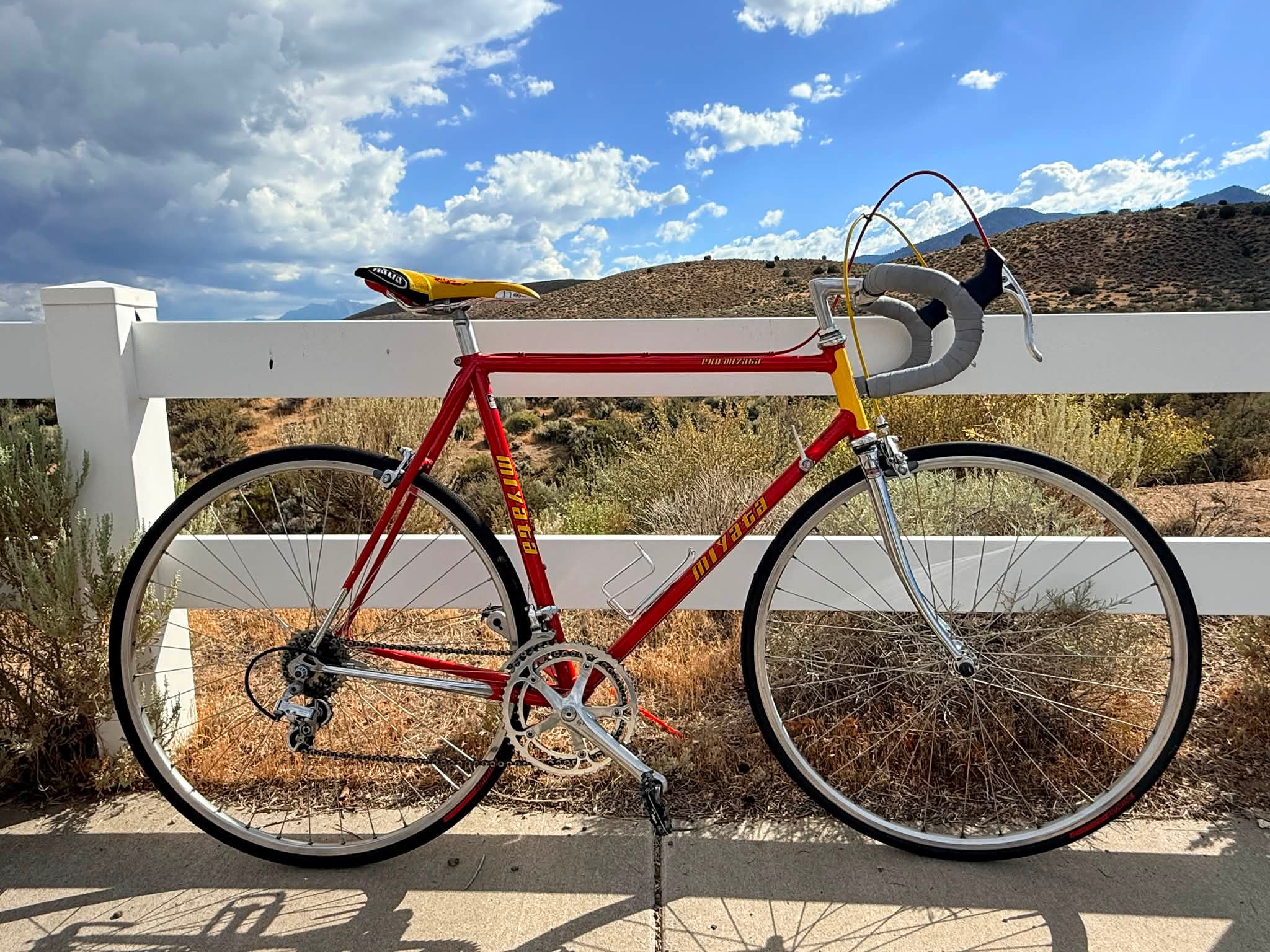 Nishiki Olympic Royal - Japanese steel at is best, tange champion