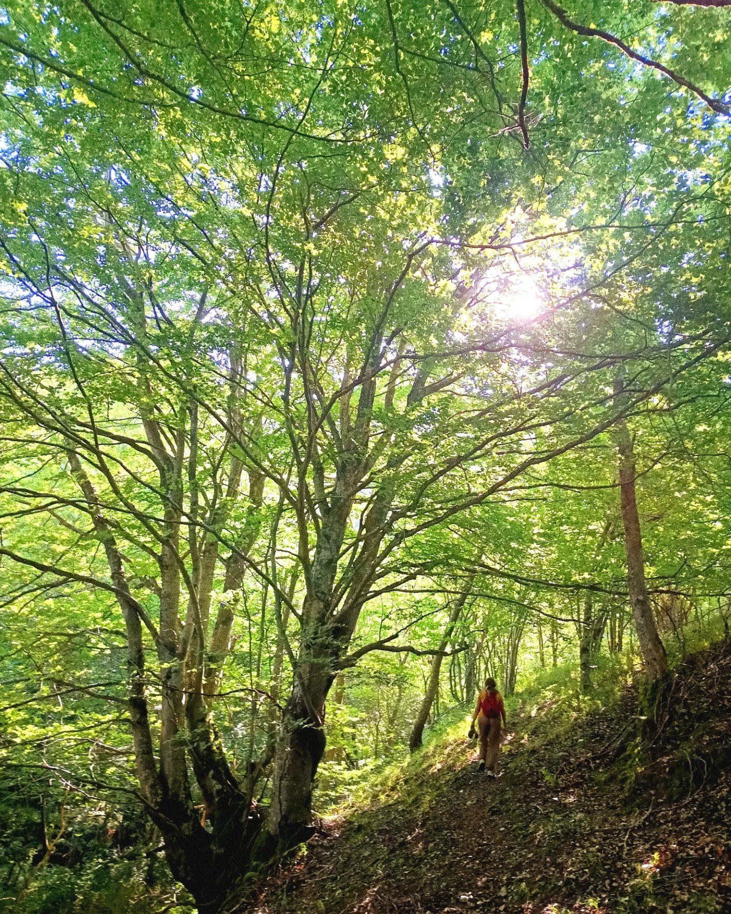 Senderismo en la Sierra de la Demanda