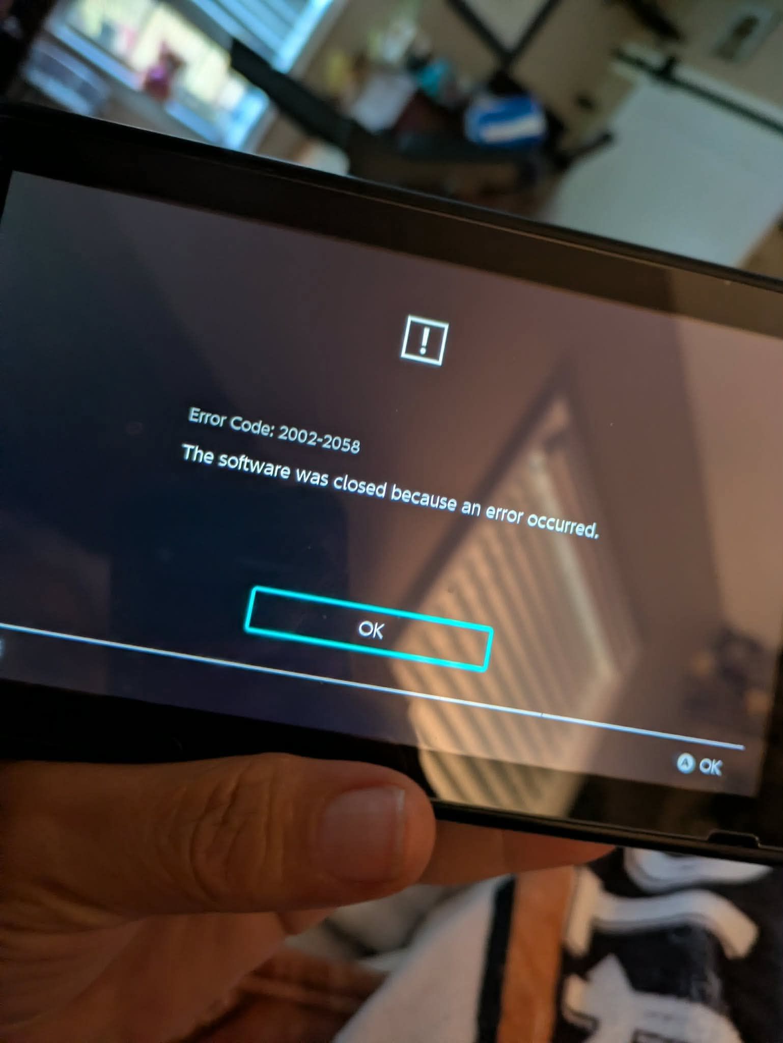 How to fix Animal Crossing error code 2002-2058 on Nintendo Switch?