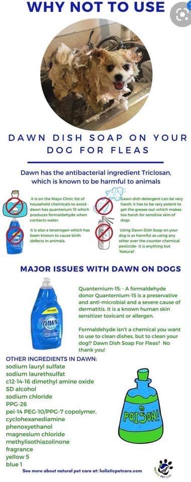 Safe alternatives to dawn dish soap for pets