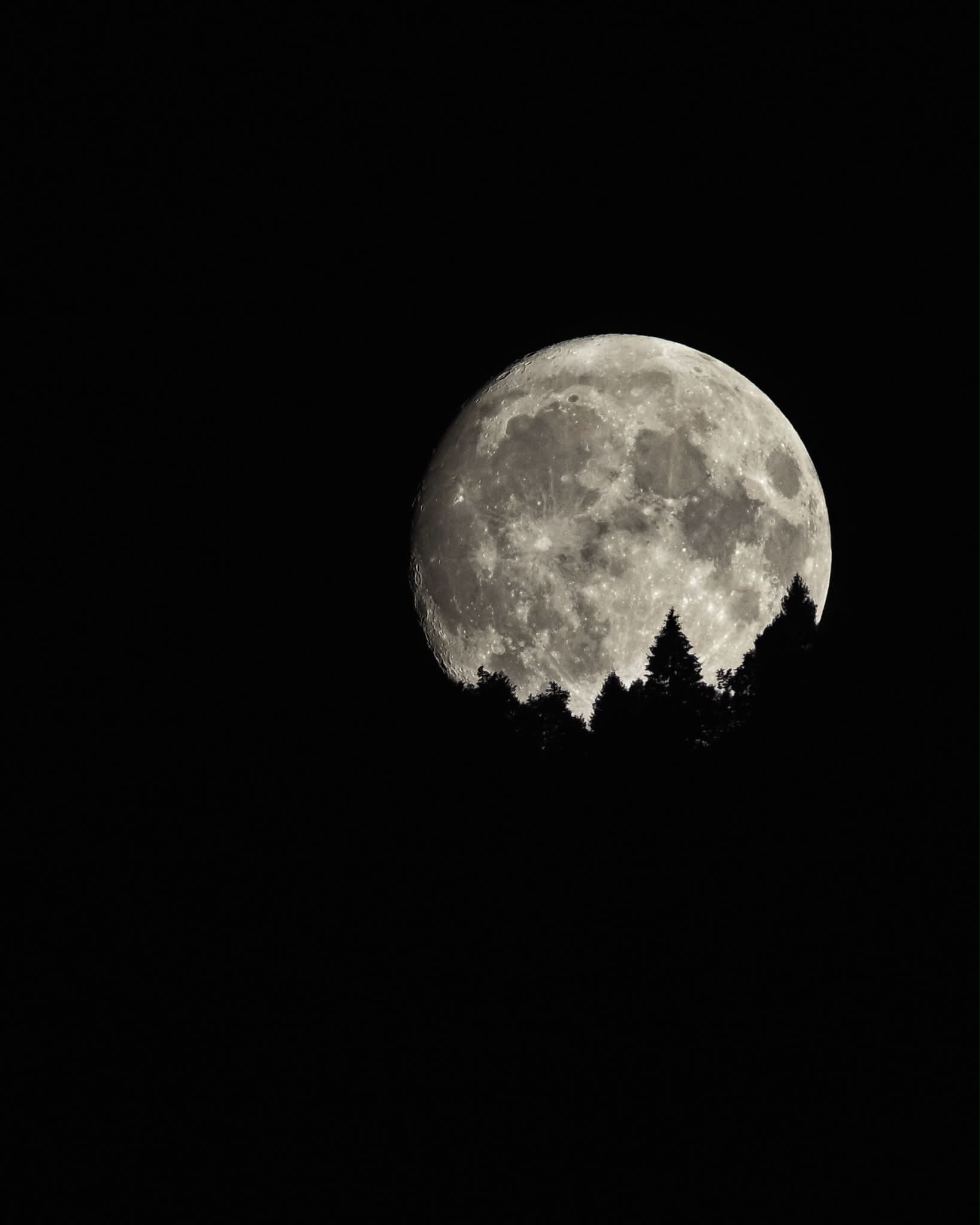 Nikon Z8 F4/8 400mm + crop