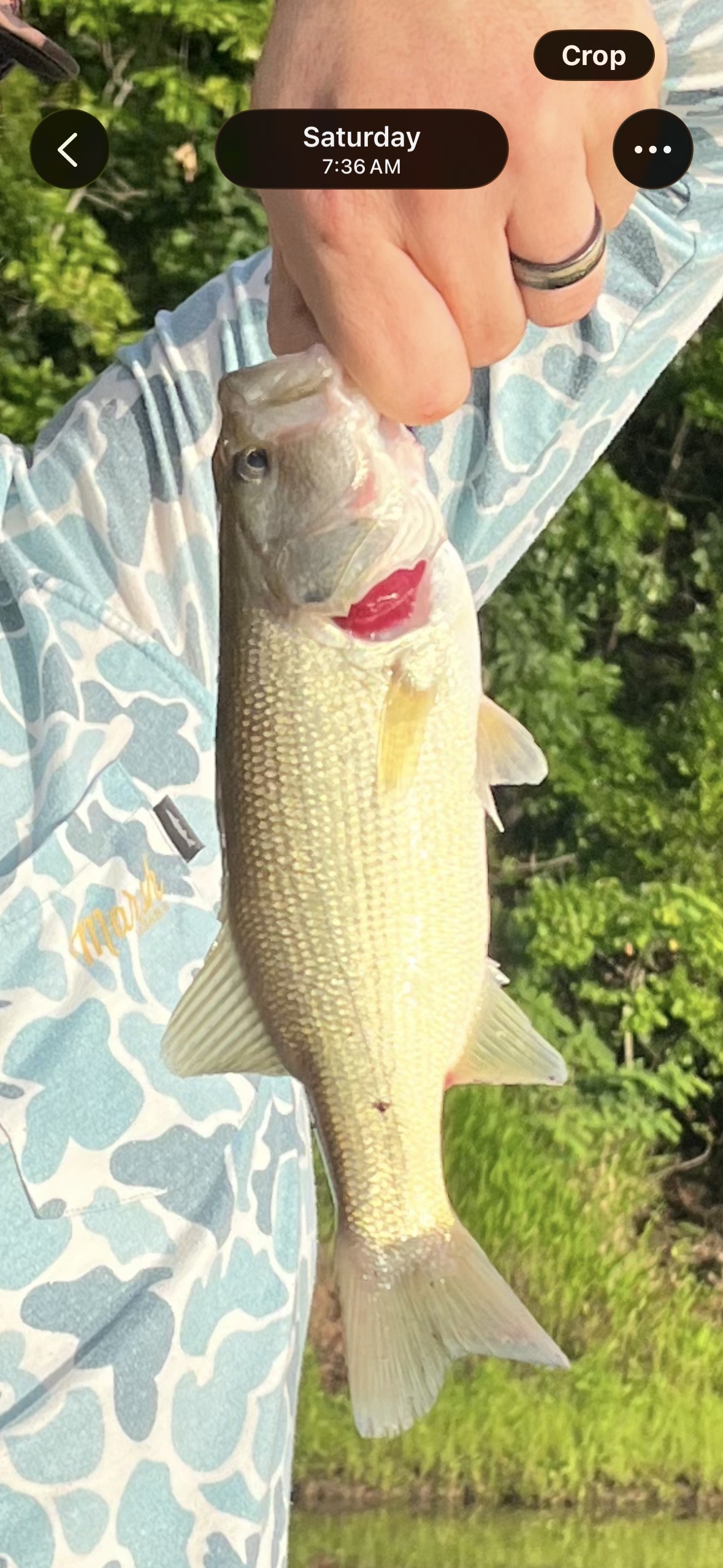classic fly reel Loop Eastfield Instrument Swimbait Baitcasting Baby Beaver Bait and John Day Color:Mixed color