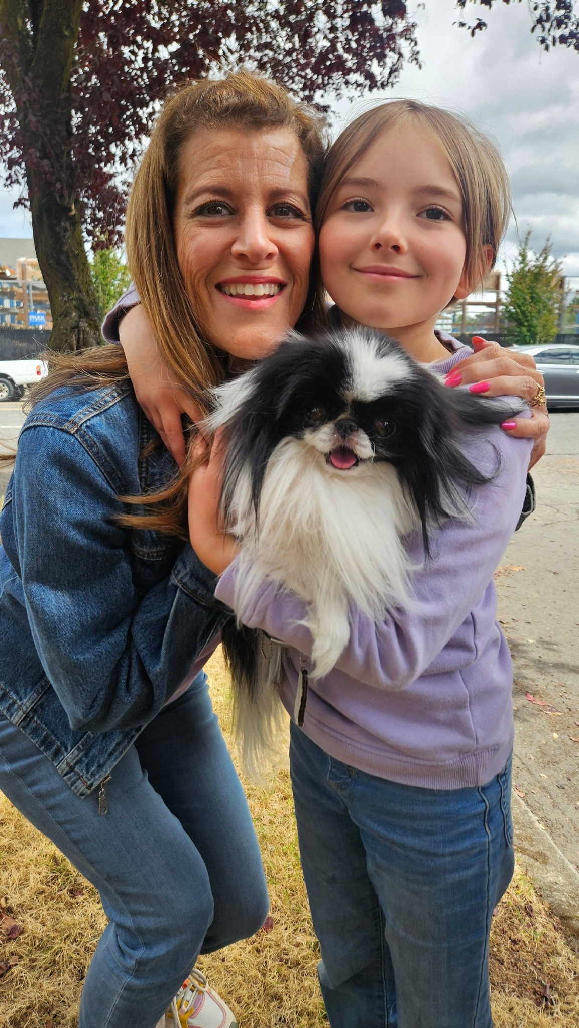 Japanese Chin owners enjoy 2026 ChinFest in Pacific Northwest