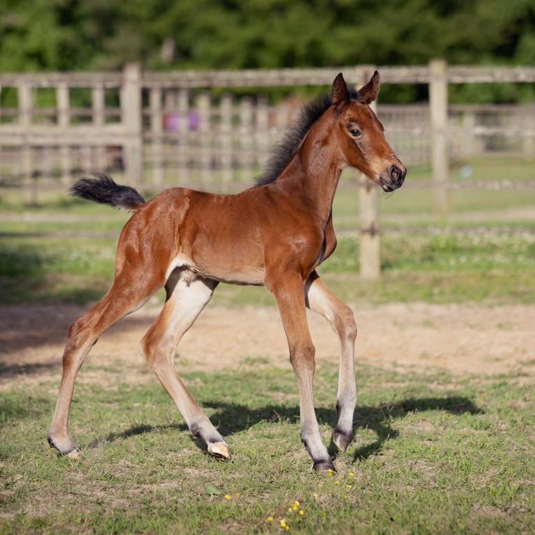 For Consideration: Wynett SPF** Candy de Nantuel x Colandro x