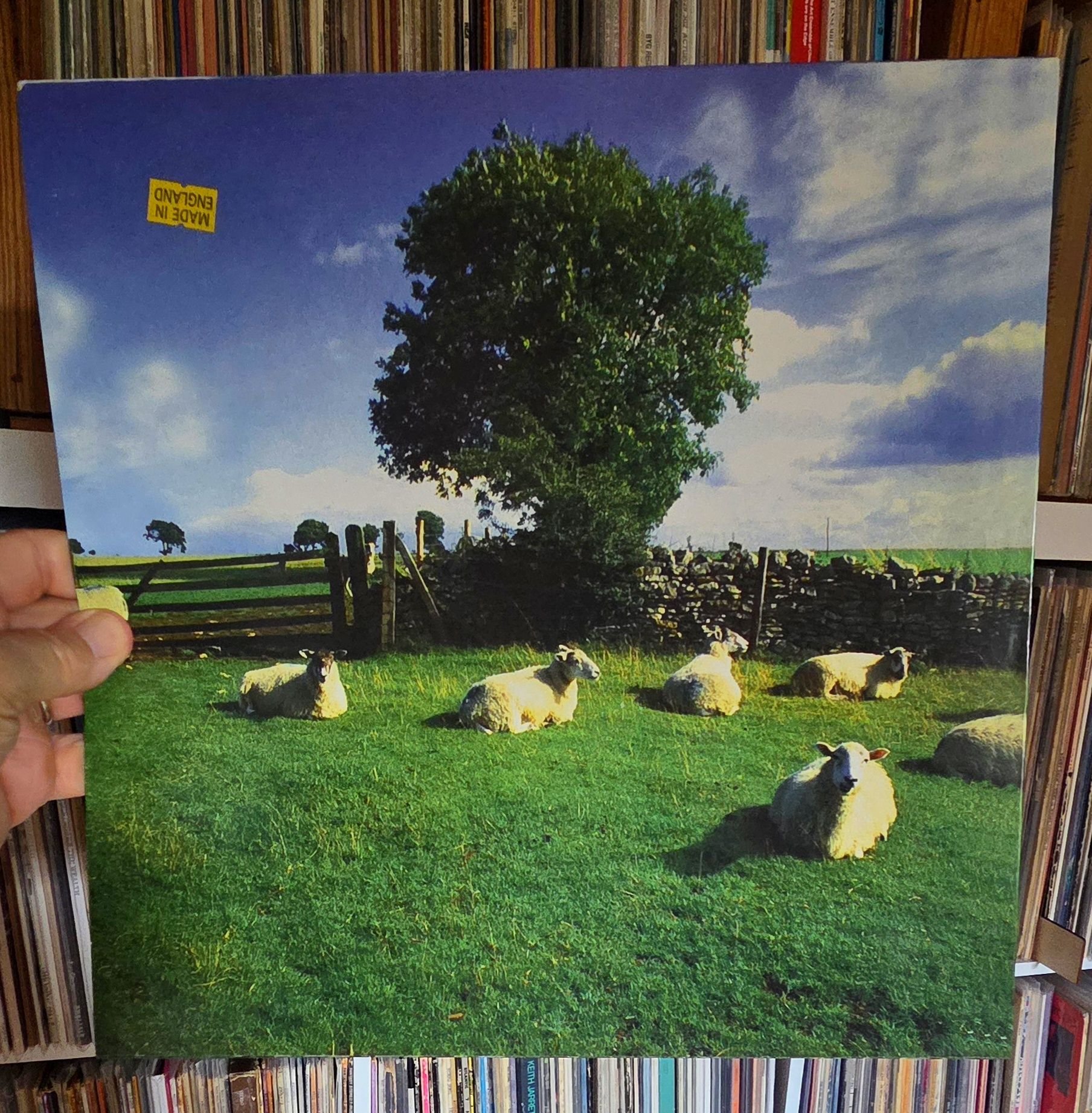 KLF's 'Chill Out' vinyl record found, possibly bootleg