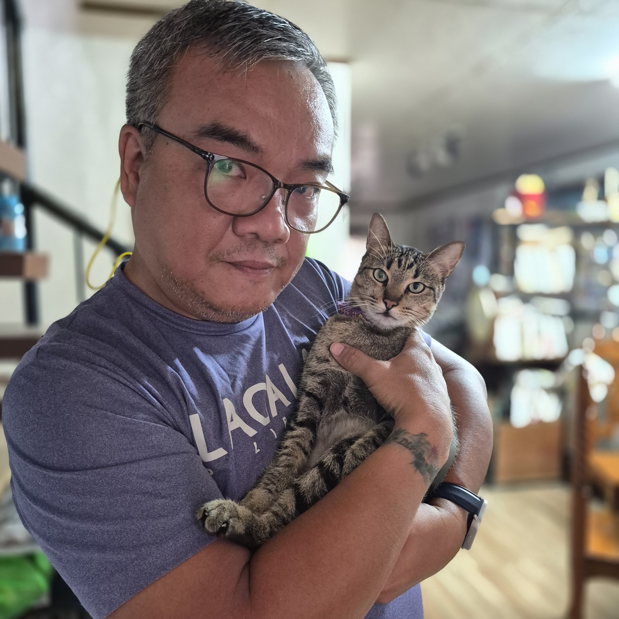 Reaksyon ng pusa kong si Luchee... - Joselito D. Delos Reyes | Facebook