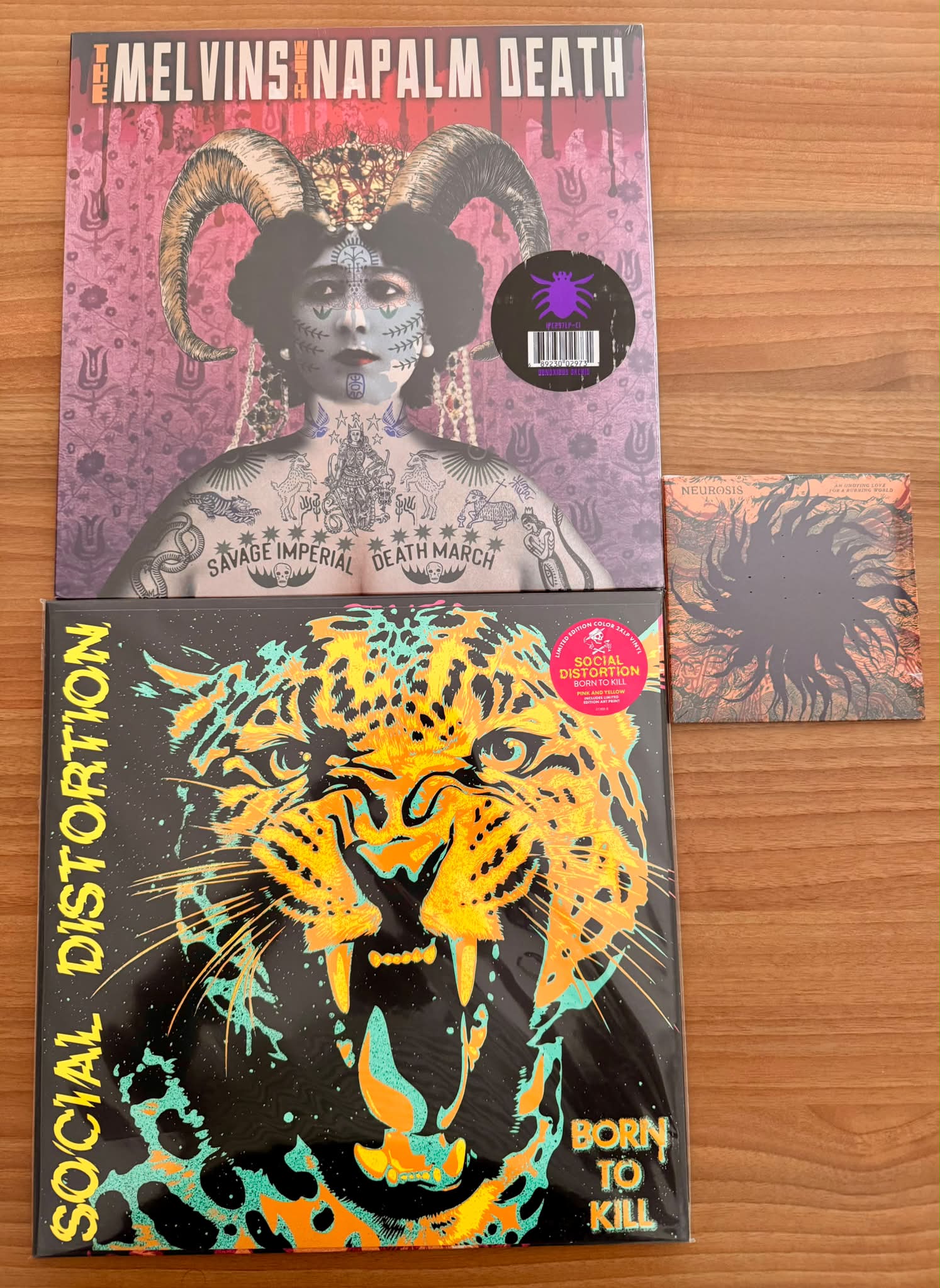 New vinyl and CD arrivals: Melvins, Napalm Death, Social 