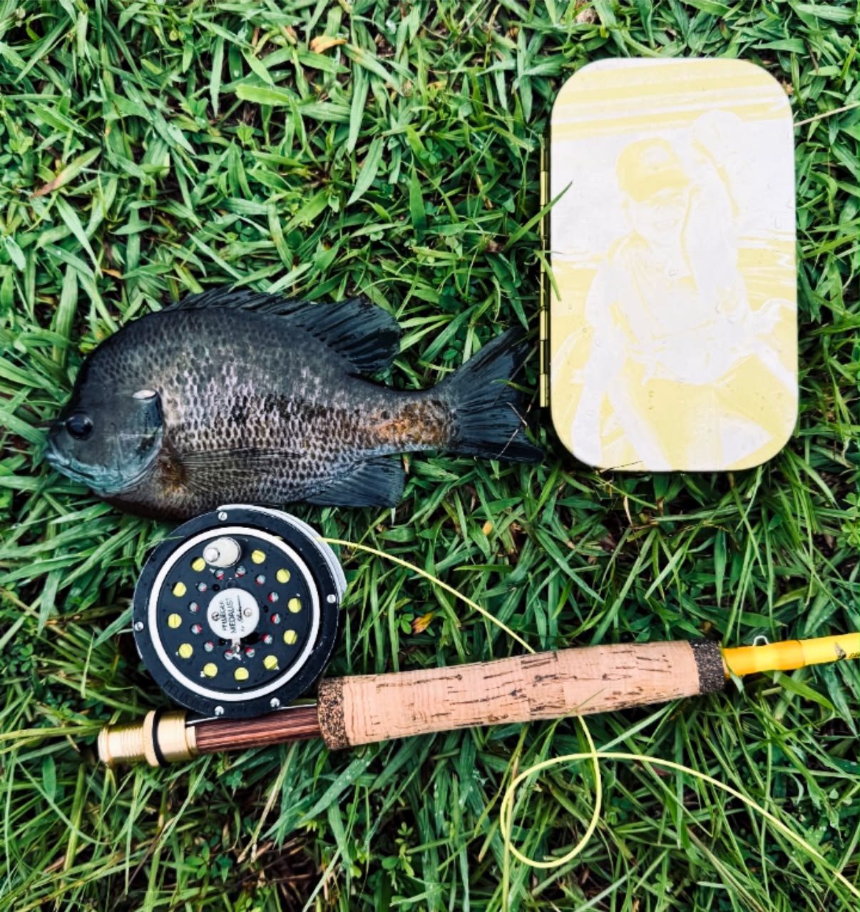 echo base fly reel 2 3 wt Shadow Click 2/3wt At a price like Aqua Dream Color:Clear Gold Glimmer Abu Garcia Max SX
