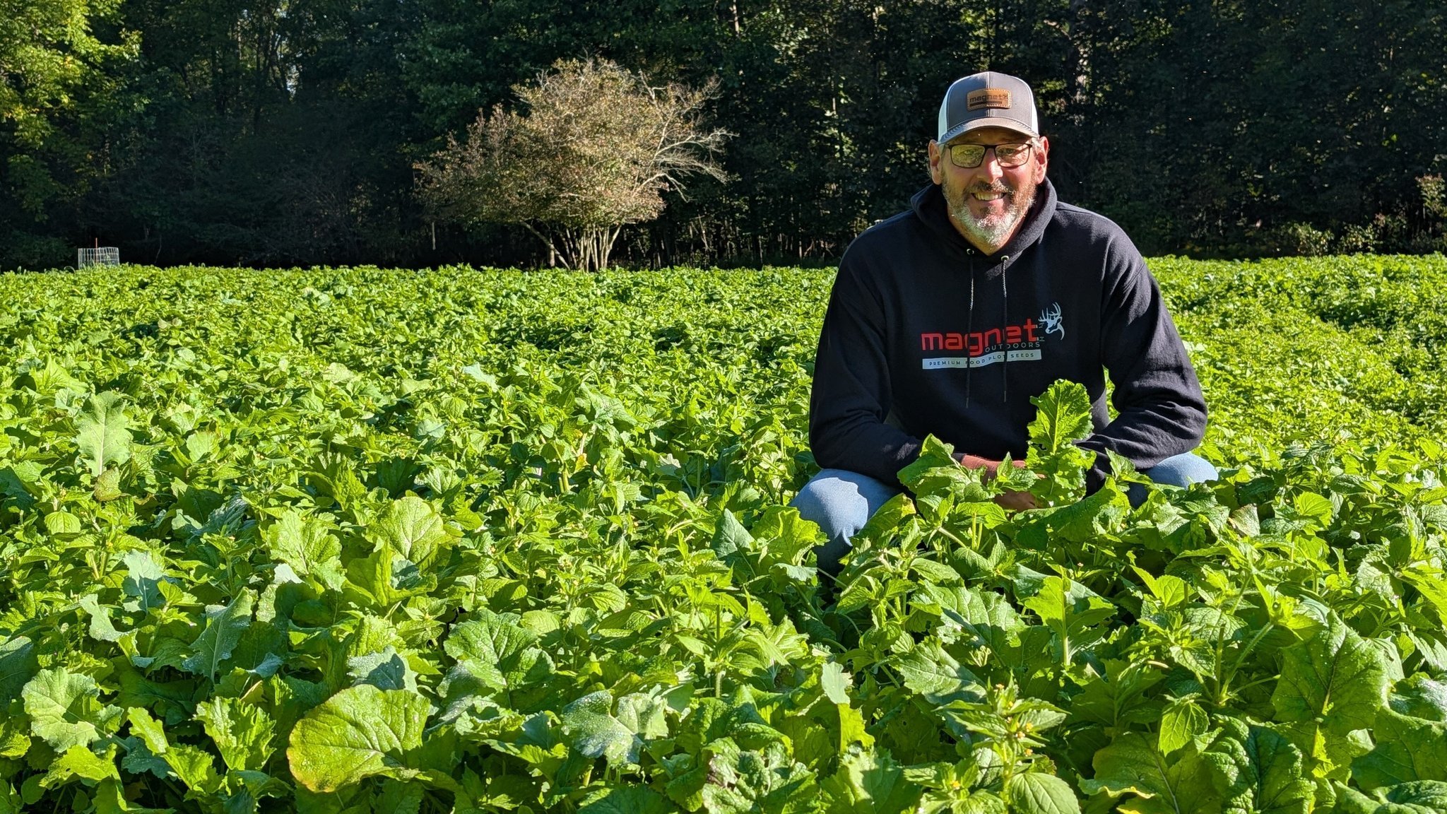 What clethodim products are available on Amazon for clover chicory