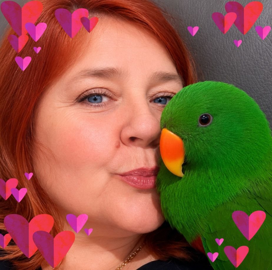 Eclectus Lovers Australia | If you are in Australia and haven't tried ...
