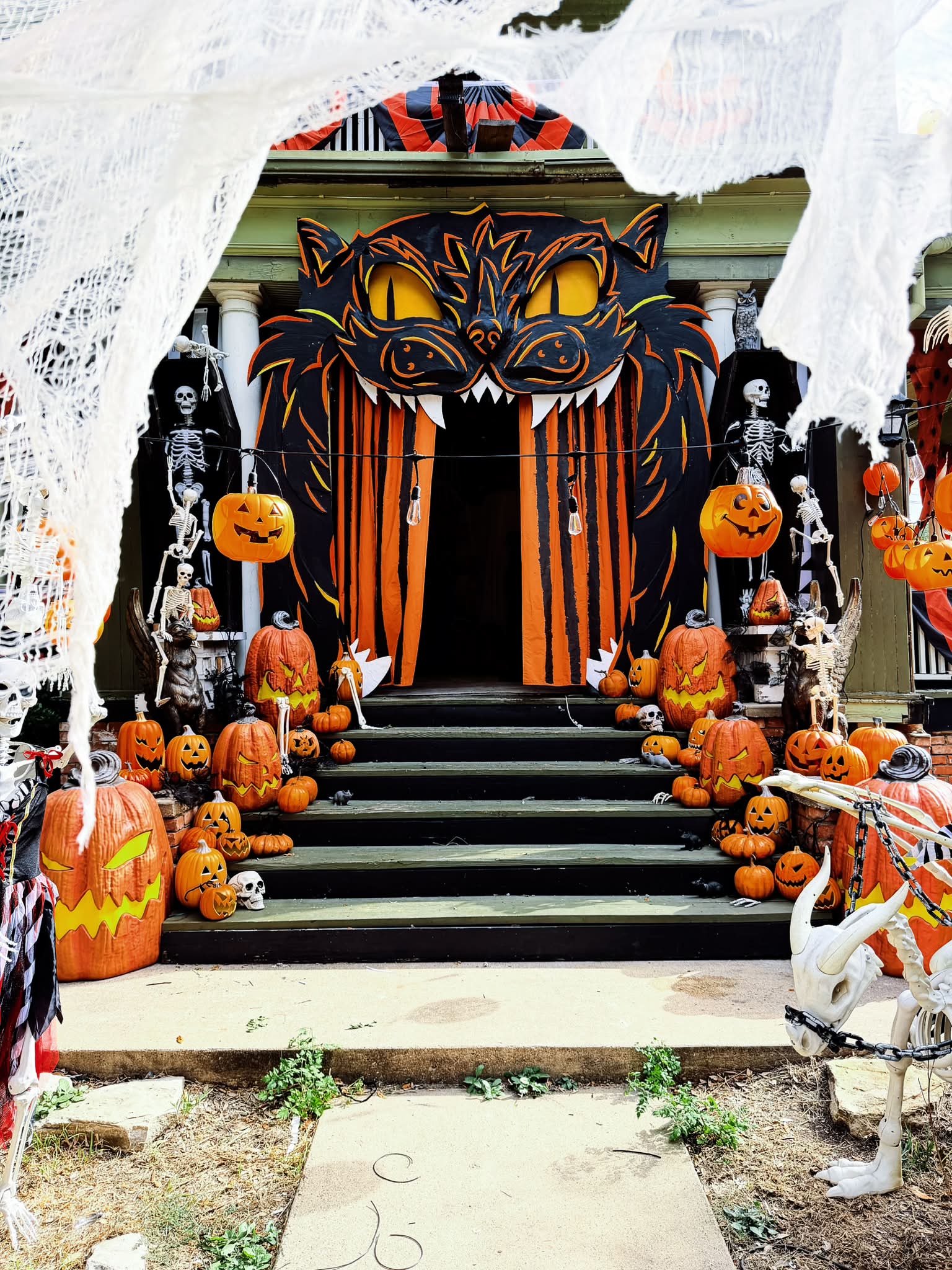 HALLOWEEN 2026: Scaredy Cat entrance is up.