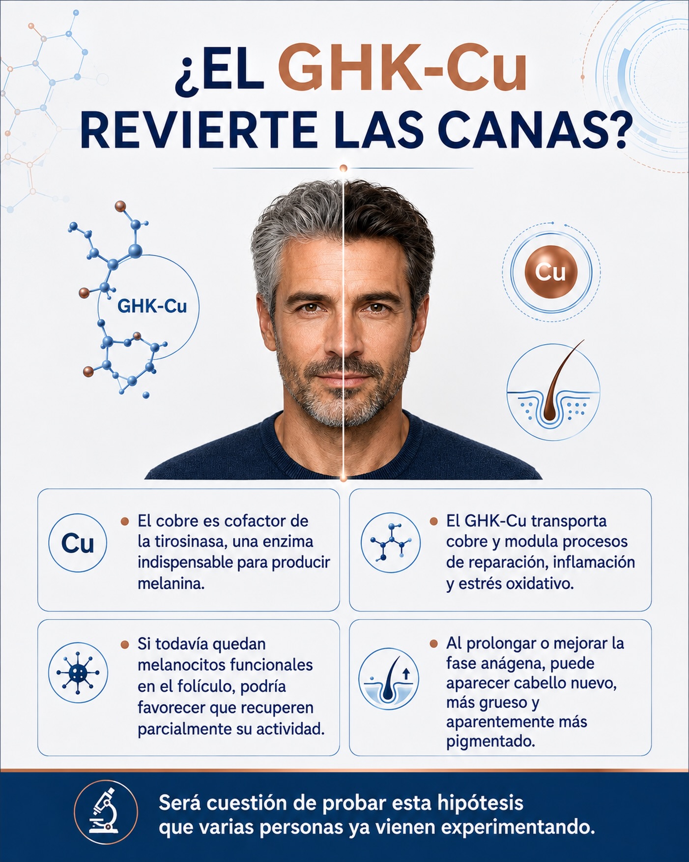 🧬 ¿EL GHK-Cu PODRÍA REVERTIR LAS CANAS? Cada vez más personas me cuentan que, después de utilizar GHK-Cu, comenzaron a notar que parte del cabello nuevo crecía más oscuro. ¿Puede tener una