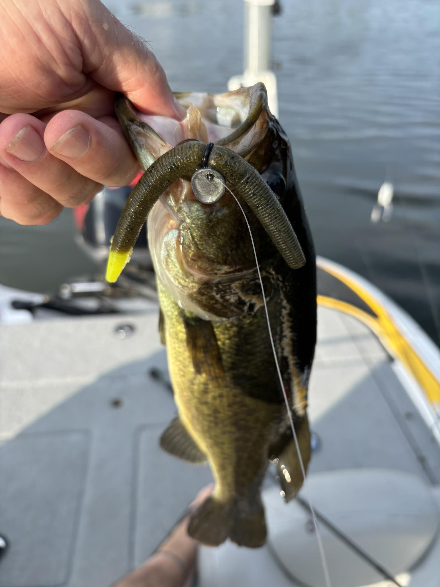 bass fishing with weighted hooks Owner Twistlock Light 4/0 Hook / 3/32oz TWISTLOCK FIXED Swimbait Season Keitech Fat Swing