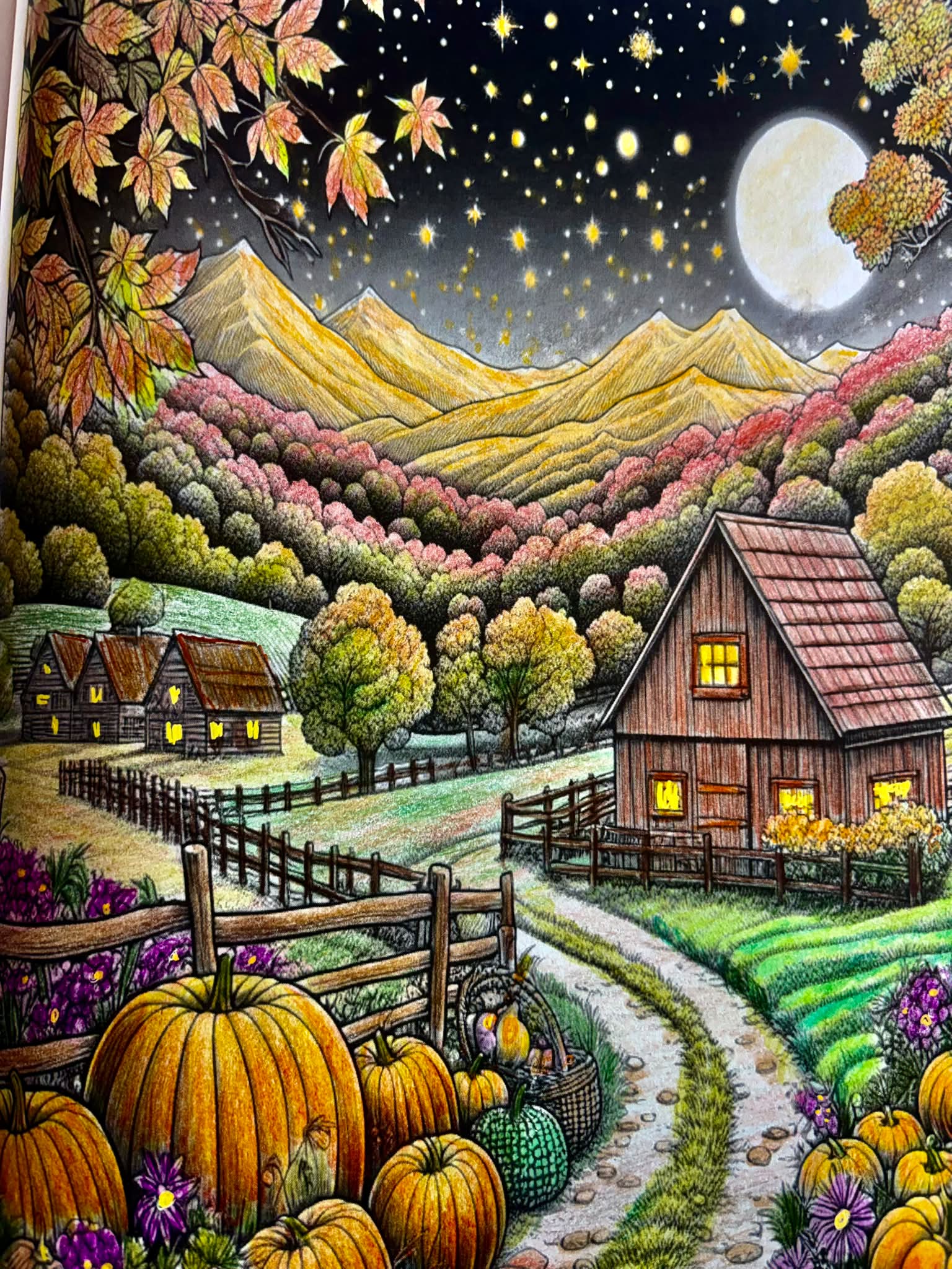 Autumn Charm Coloring Book no Author used Prismacolor and Arteza