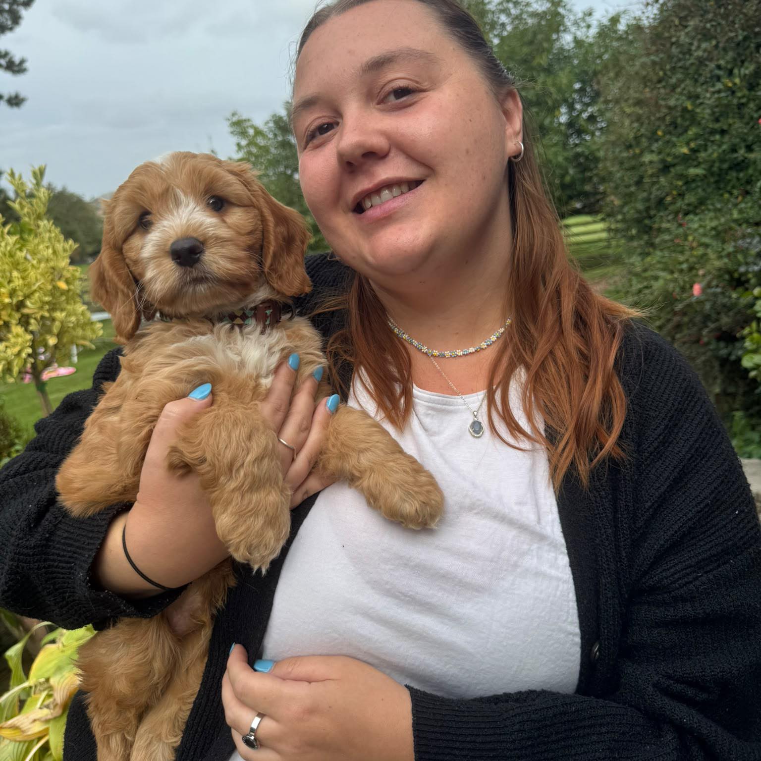 Cockapoo Owners Club | I’m after some advice please 🙏 My 11 week old ...