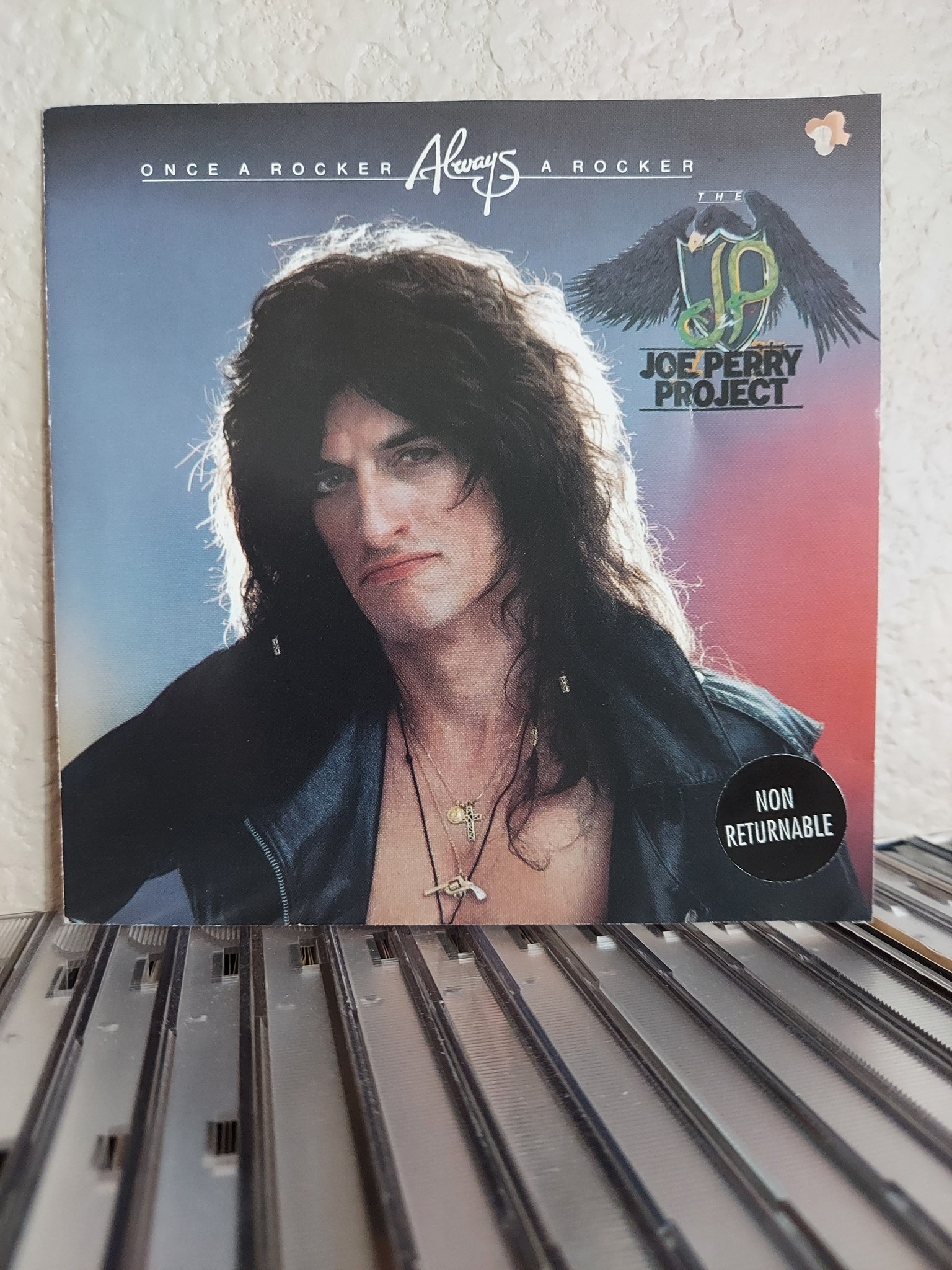 The Joe Perry Project - 