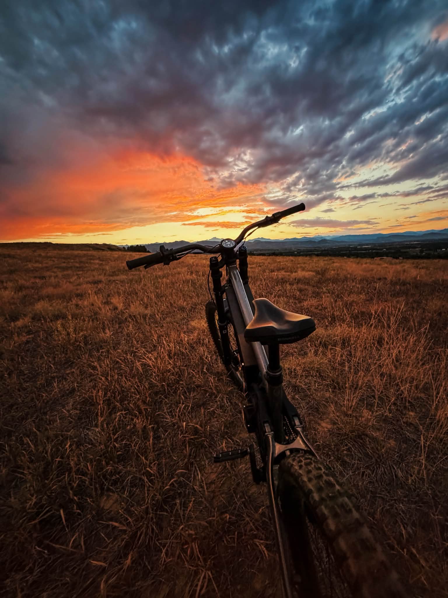 Porn Picture