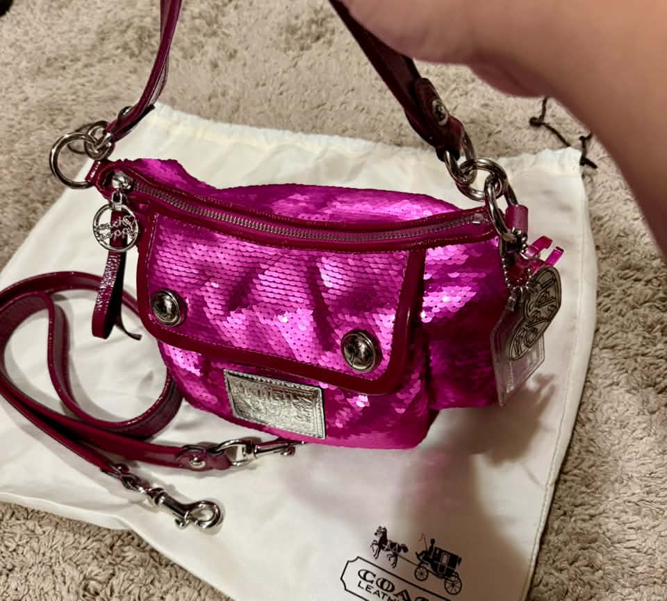 Still loving Coach Poppy bag for New Year's