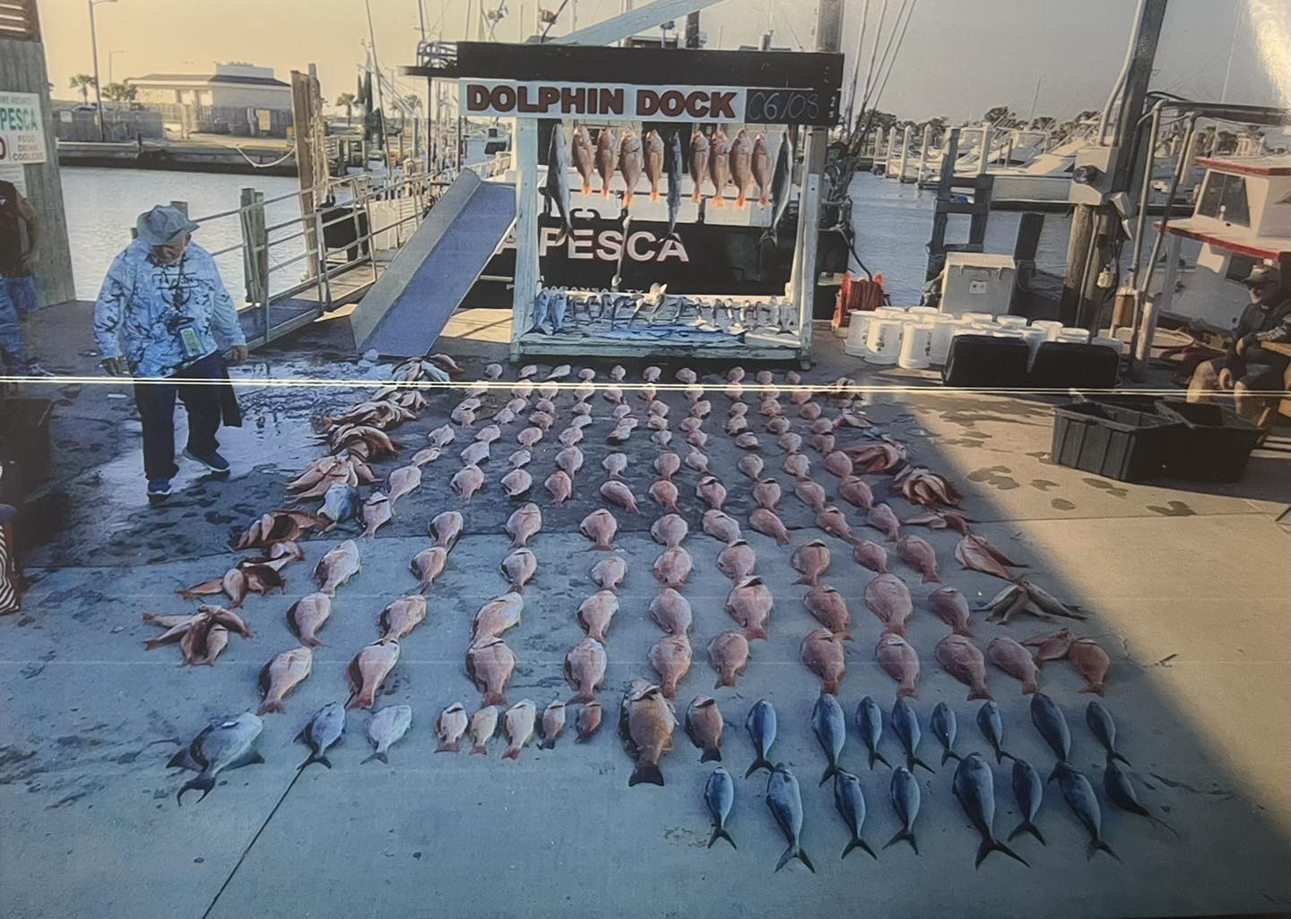 Dolphin - The La Pesca did great on the first 30hr of snapper season! 🎣 ...