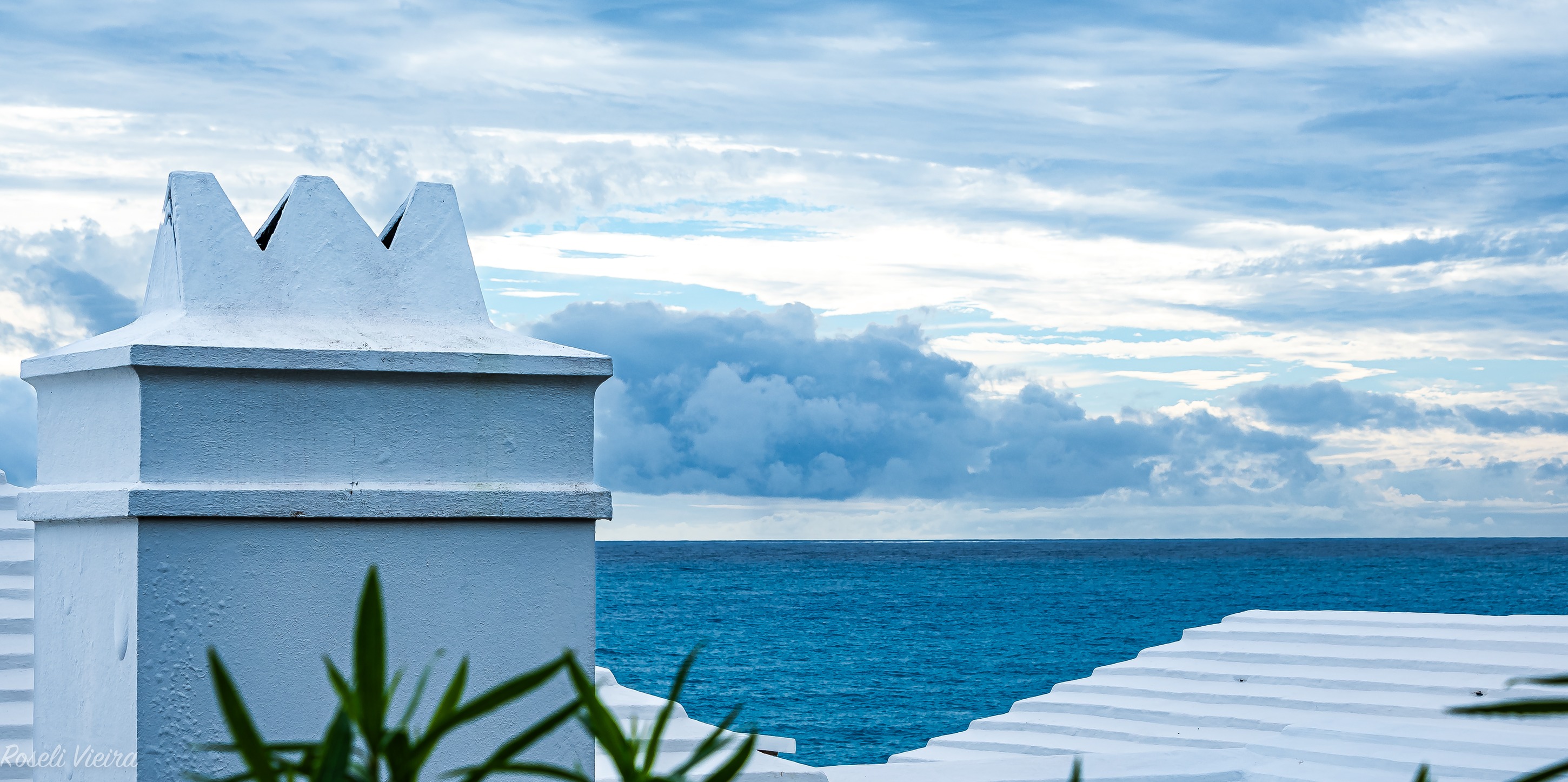 formal bermuda dress code Is the more for dining in Bermuda? Rose Mauve