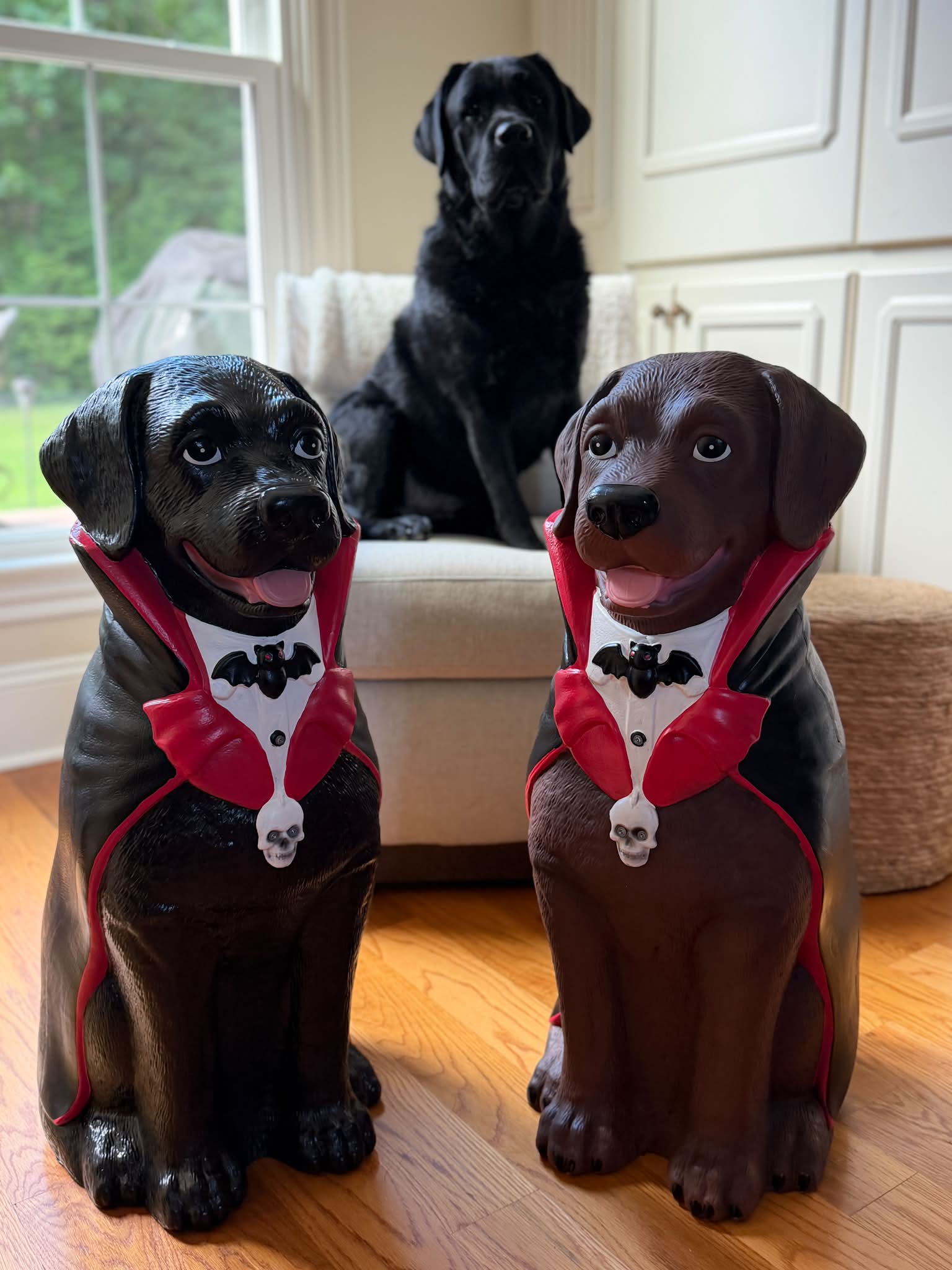 Does anyone know the sku for the chocolate lab vampire