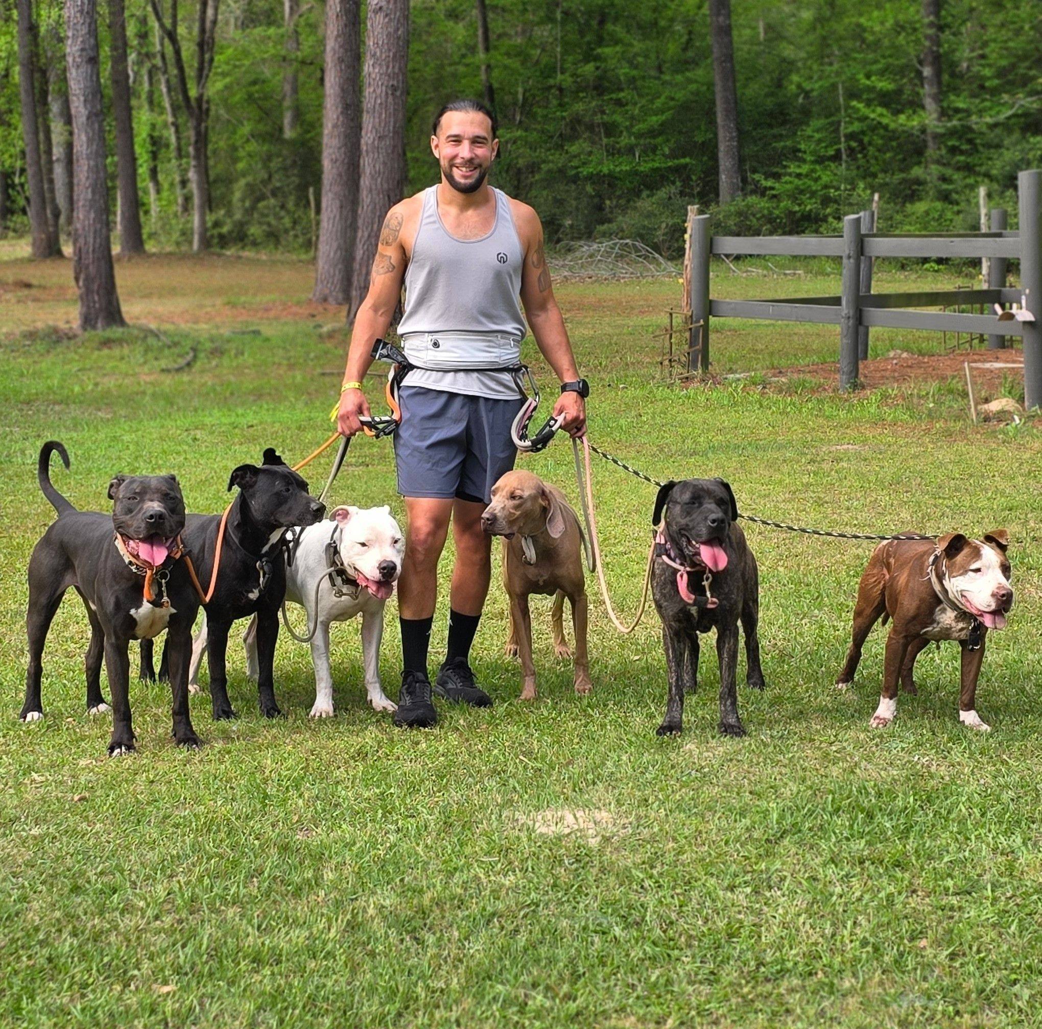 The best form of exercise that can be done daily for dogs, is ...
