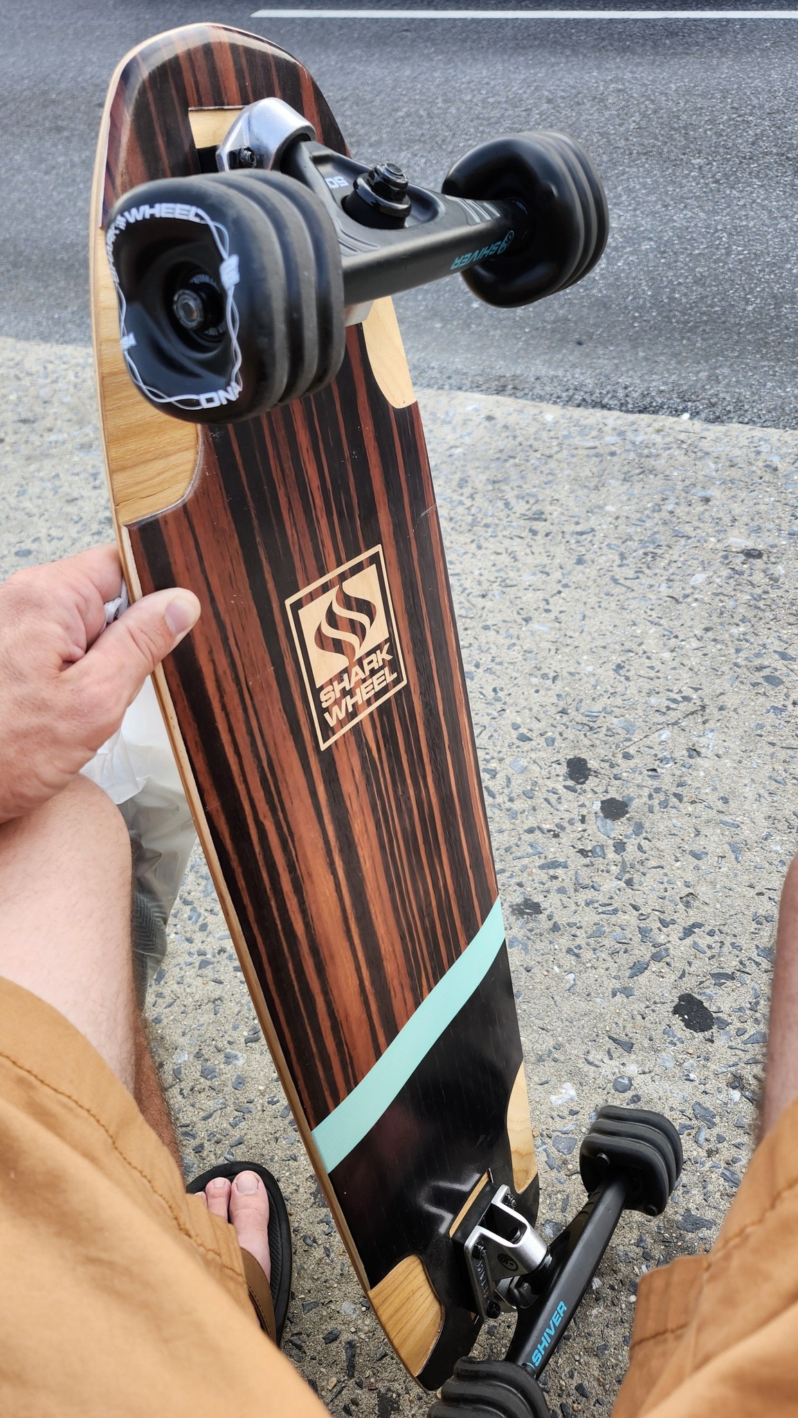 Get Gnarly Skateshop in OCMD has Shark Wheels | Ocean City, MD